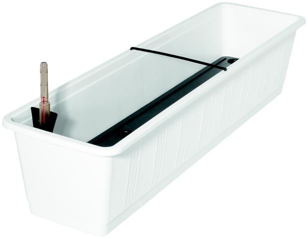 535049-83708010-L BWS-KASTEN AQUA-GREEN PLUS 80CM WEISS GE