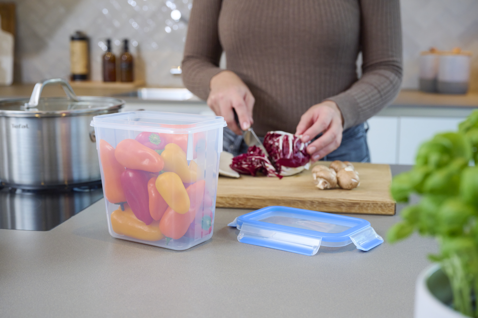 EMSA Clip & Close Frischhaltedose 1,5 L, rechteckig EMSA Clip & Close Frischhaltedose 1,5 L, rechteckig