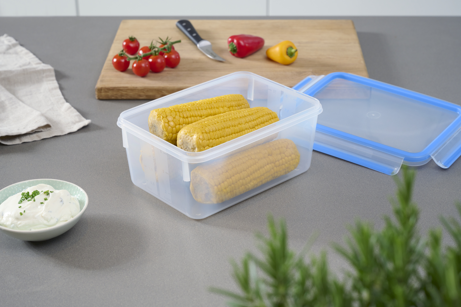 EMSA Clip & Close Frischhaltedose 2,2 L, rechteckig EMSA Clip & Close Frischhaltedose 2,2 L, rechteckig