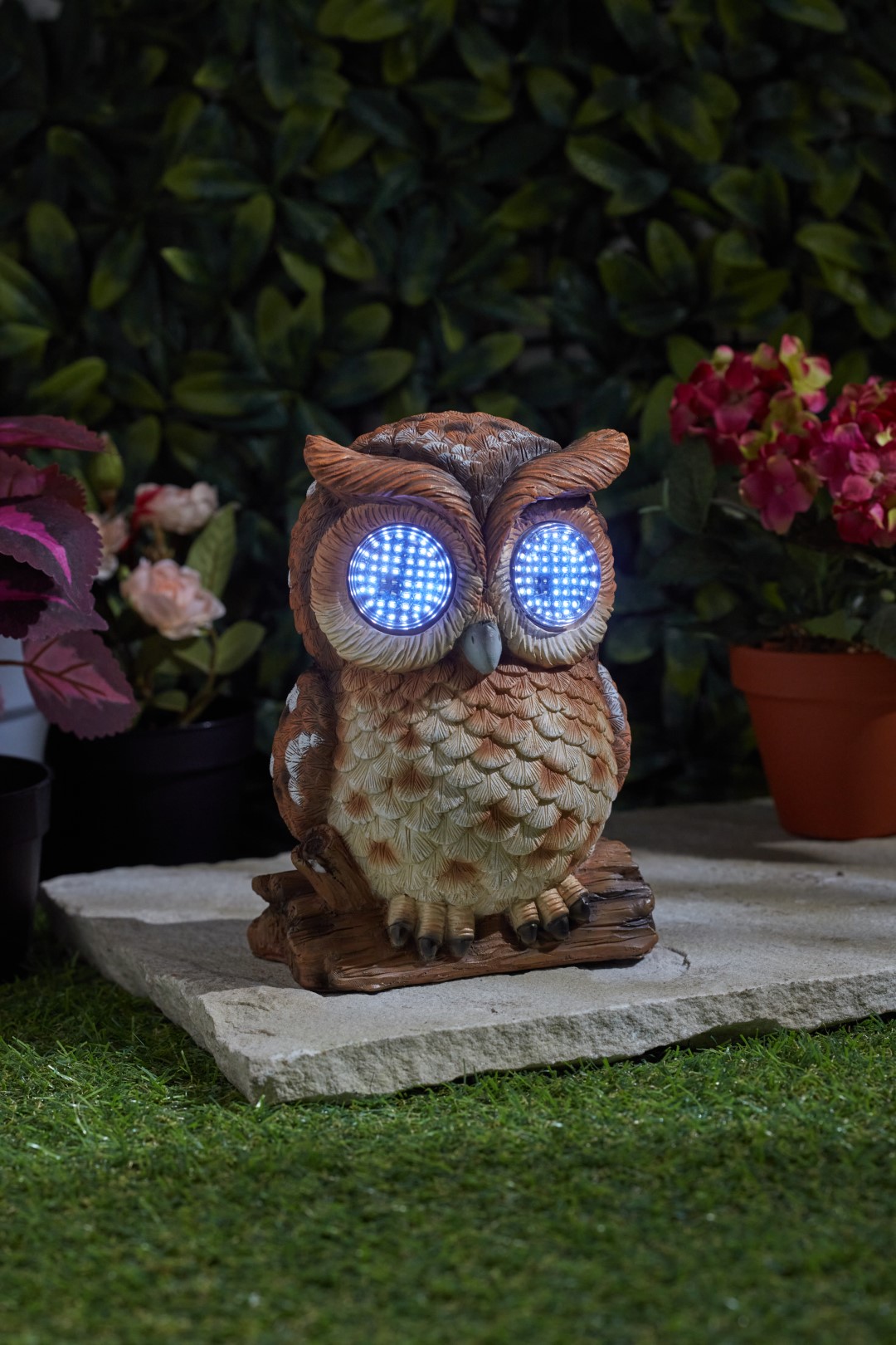 Smart Garden Blinkin Owl Large
