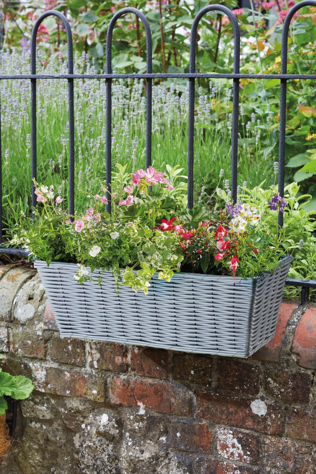 Smart Garden Rattan-Wandkorb, schiefer