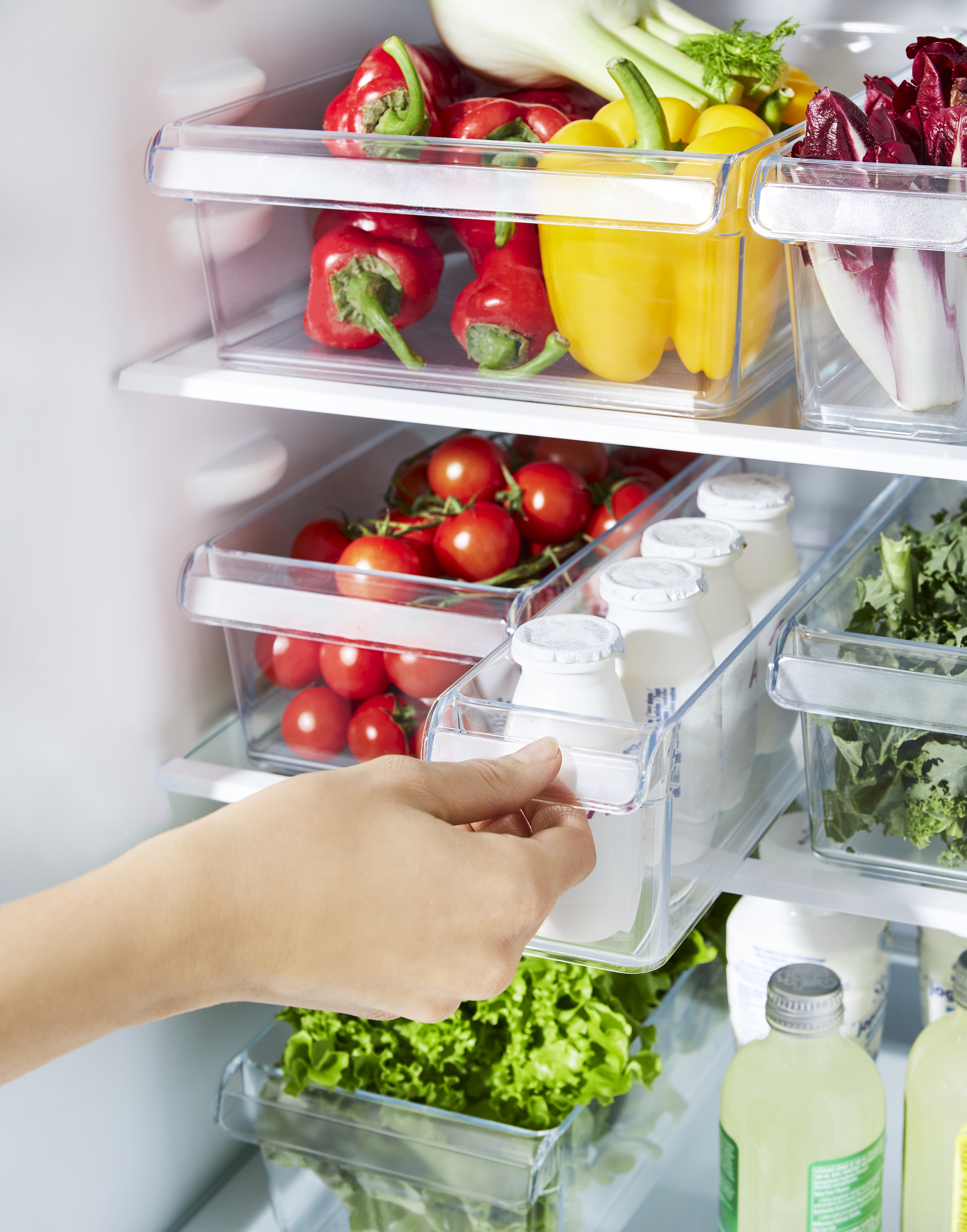 Rotho Kühlschrankorganizer 1.6 l, S LOFT