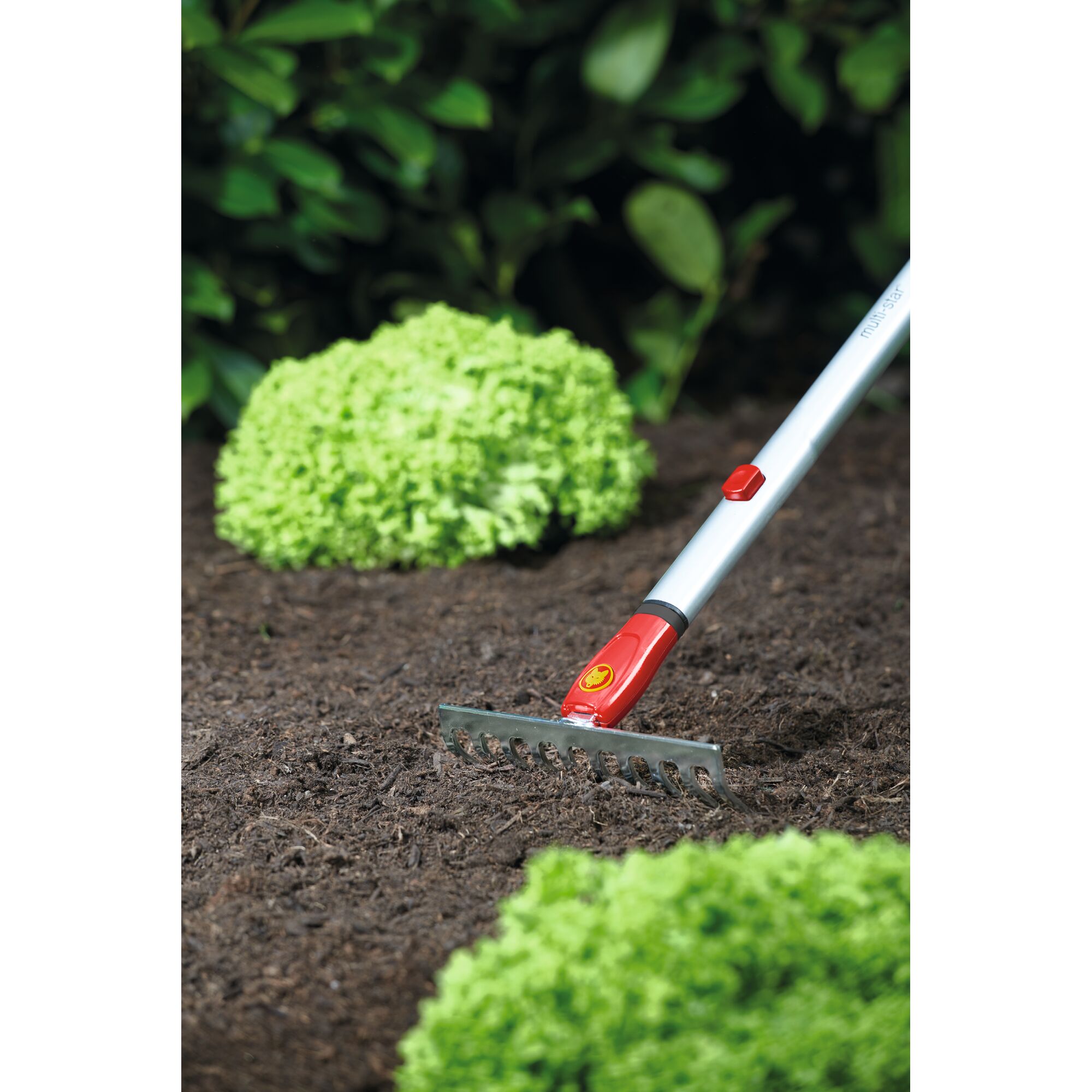 Wolf-Garten multi-star® Kleinrechen DS-M 19 Wolf-Garten multi-star® Kleinrechen DS-M 19