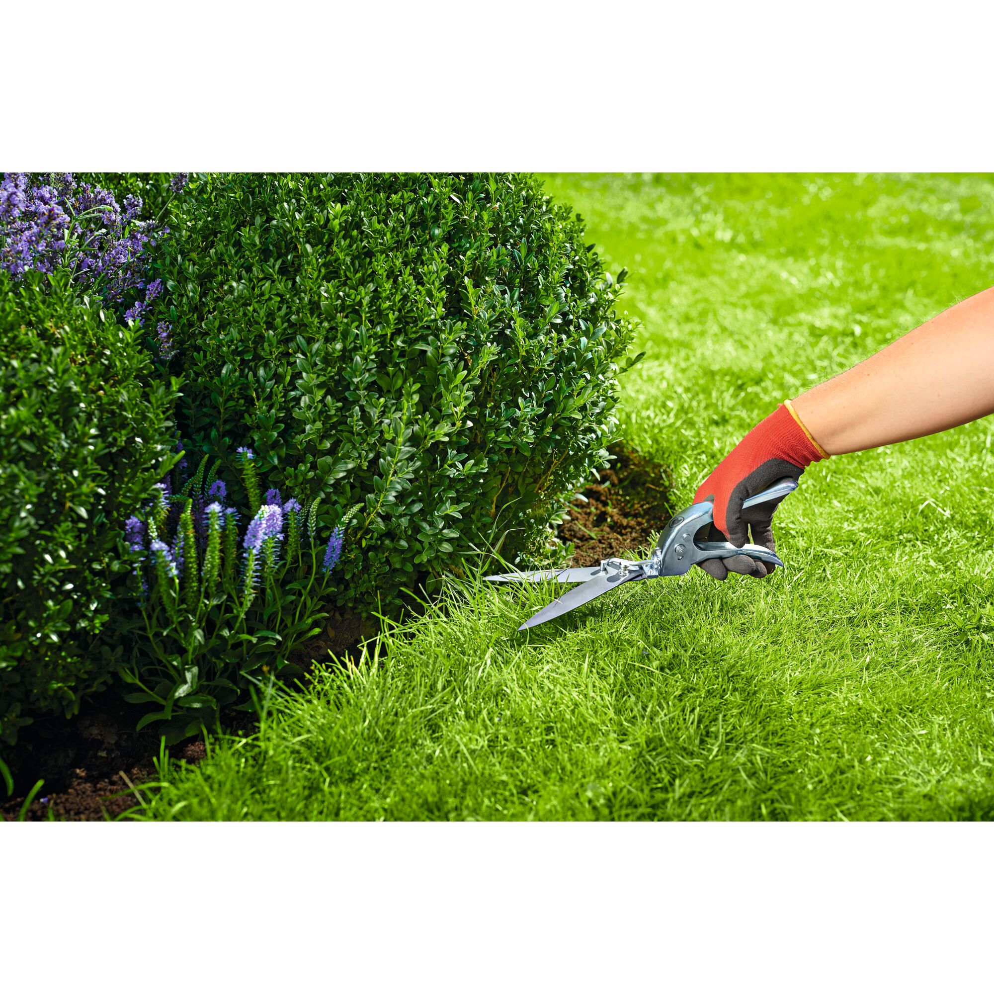 Wolf-Garten Handgrasschere Classic GS-1M Wolf-Garten Handgrasschere Classic GS-1M