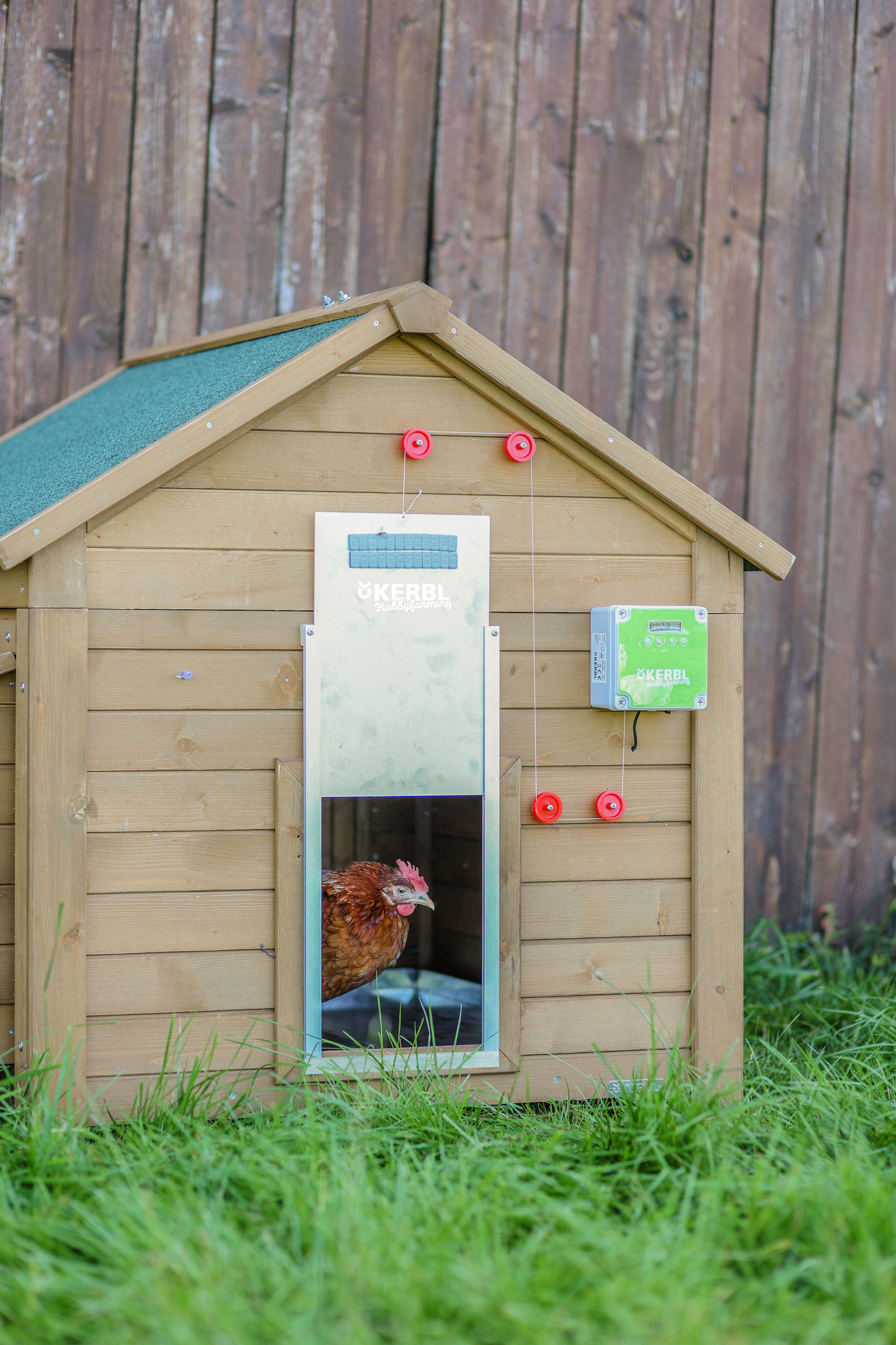 Kerbl Automatische Hühnertür mit Schiebetür 220x330mm, verpackt