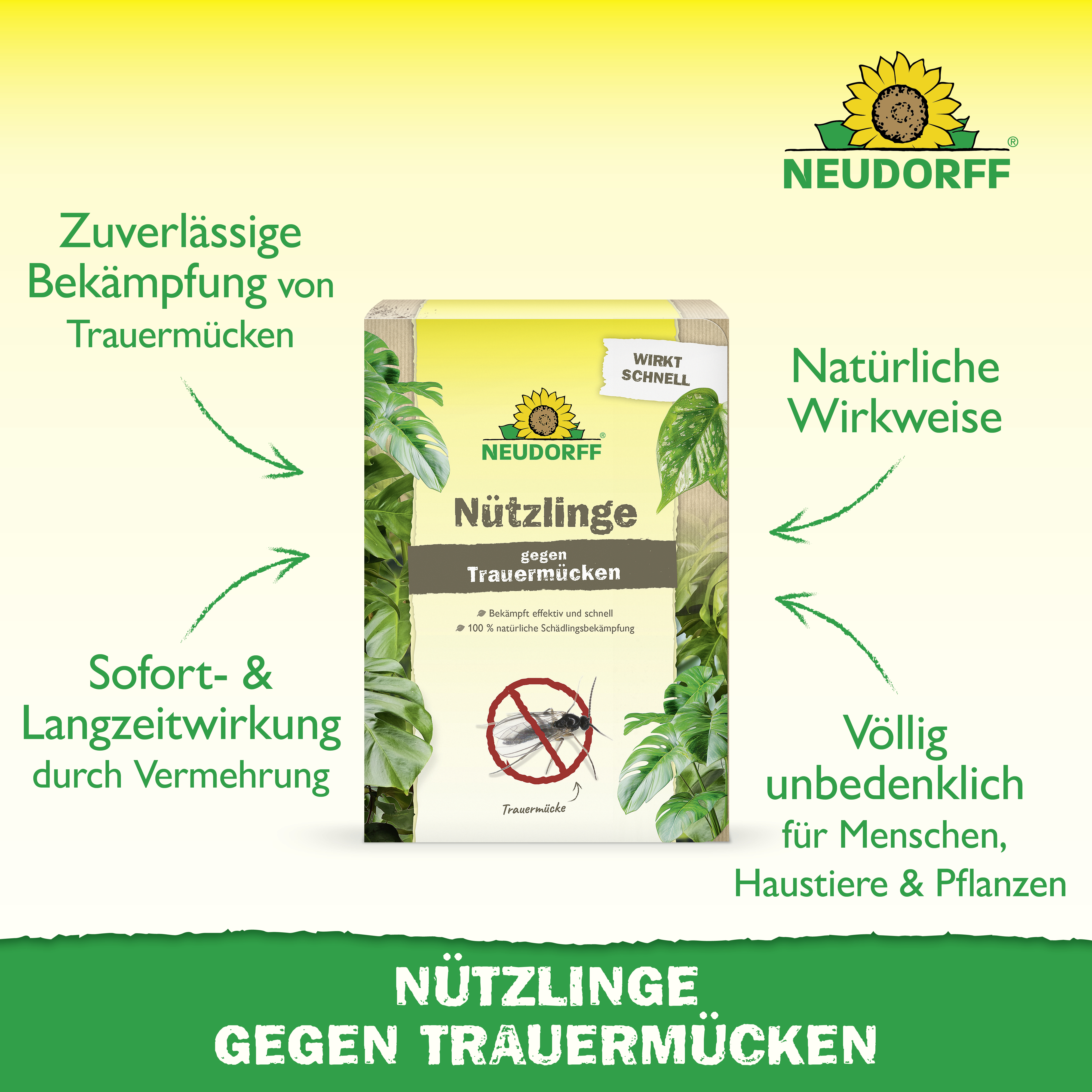Neudorff Bestell-Karte Nützlinge gegen Trauermücken