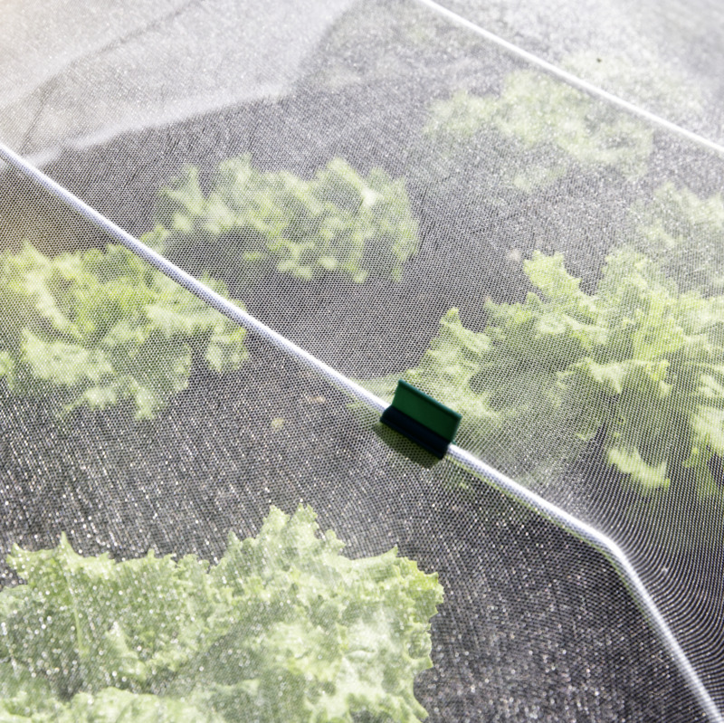 Windhager Insektenschutz-Netz, 2 x 5 m Windhager Insektenschutz-Netz, 2 x 5 m