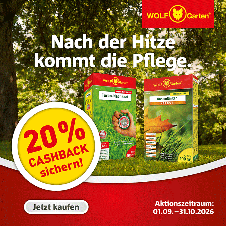 WG26_CASHBACK-Rasensanierung_Web-750x750px_260915
