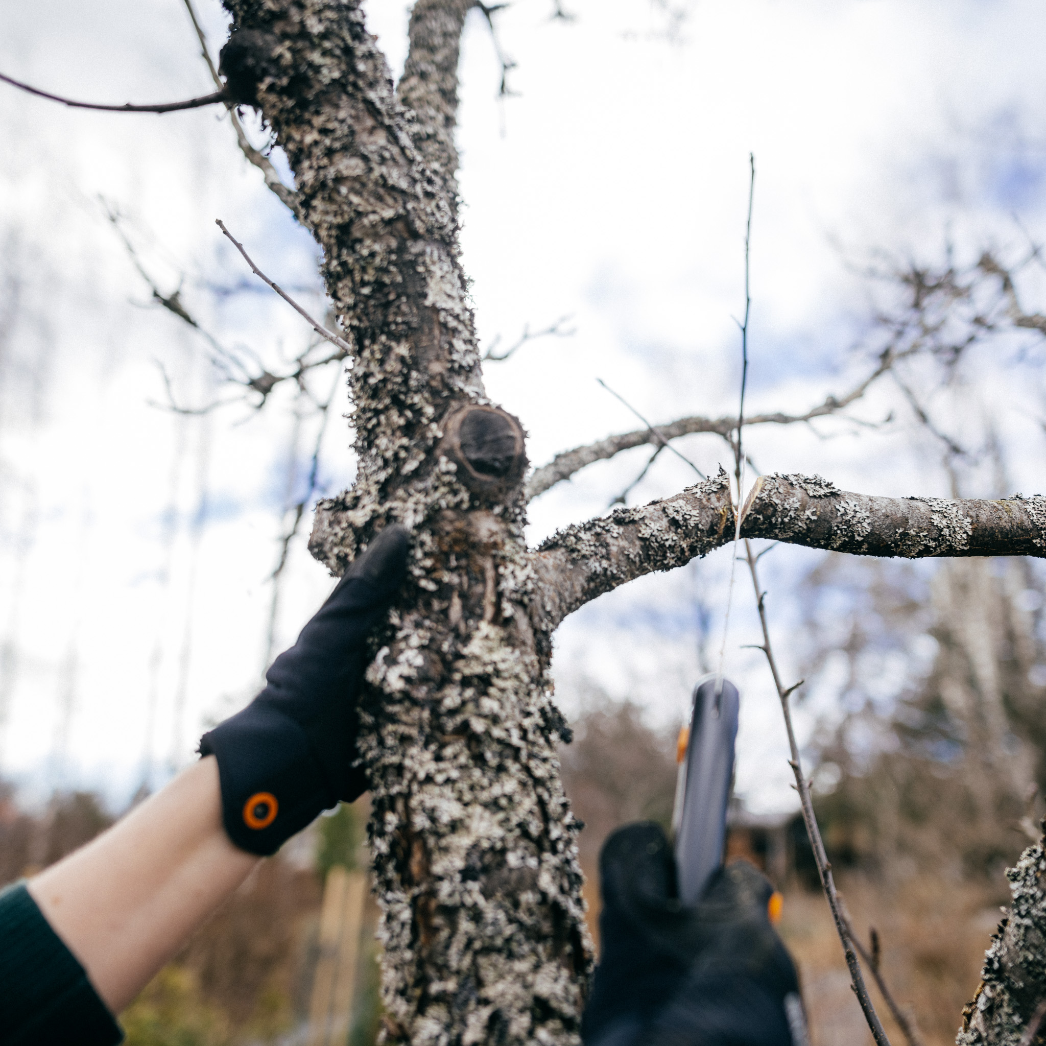 Fiskars Plus™ Klappsäge SW69, Klingenlänge 21 cm