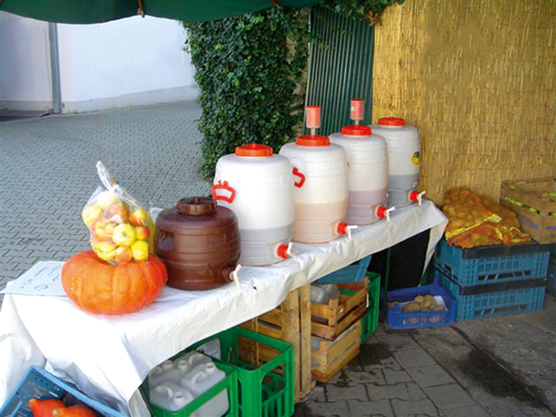 Graf Universal-Fass rund, PE, 10 l lebensmittelecht Graf Universal-Fass rund, PE, 10 l lebensmittelecht