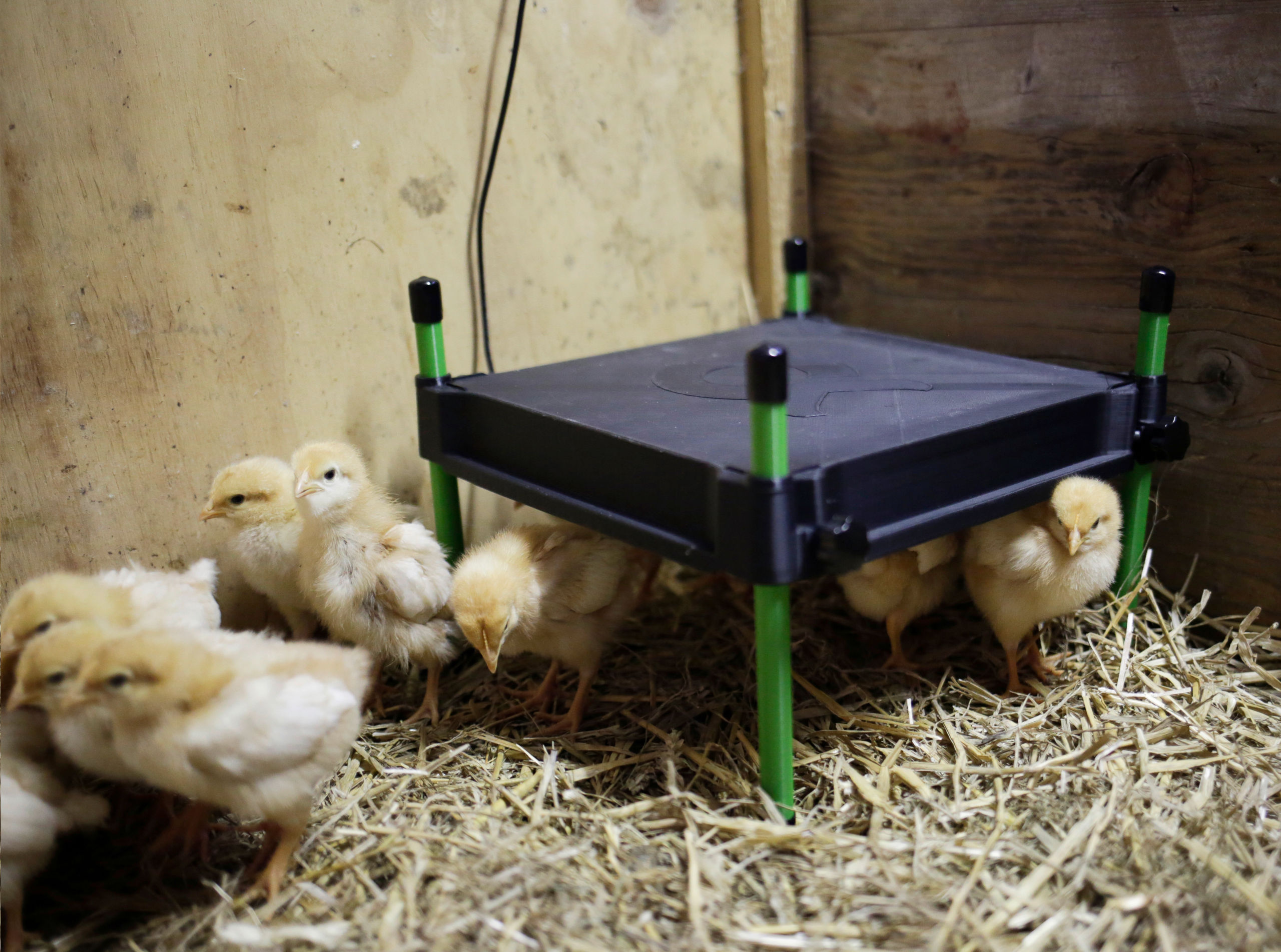 Kerbl Wärmeplatte CosyHeat, 30x30 cm 24 V, integr. Thermostat