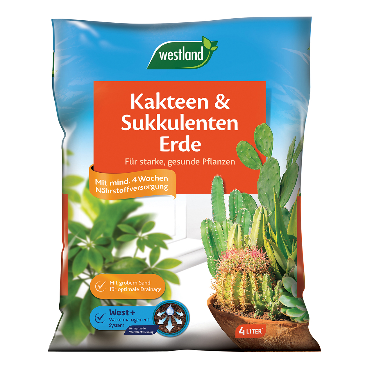 WESTLAND KAKTEEN-U.SUKKULENTENERDE 4L 