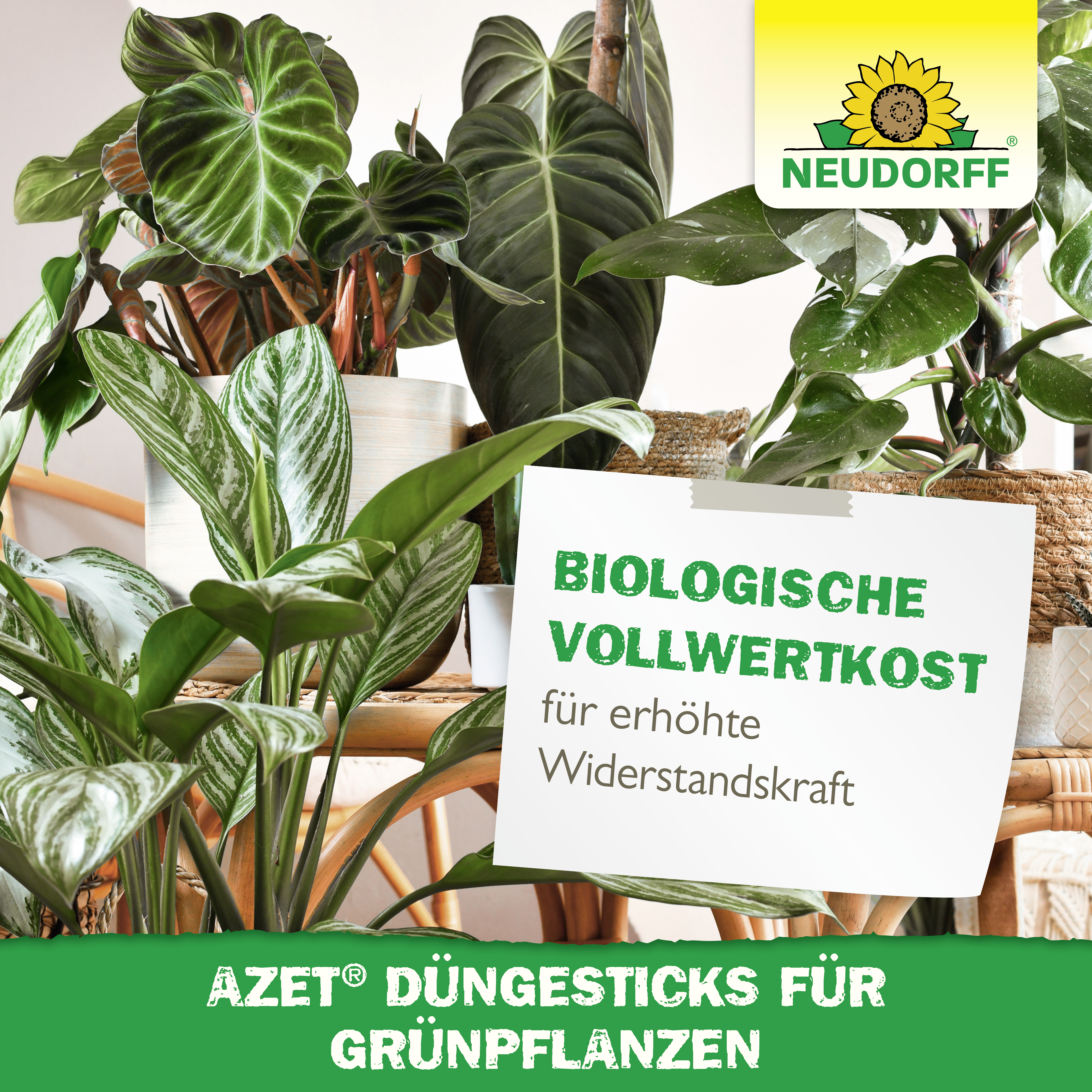 Neudorff Azet DüngeSticks für Grünpflanzen, 40 Stück