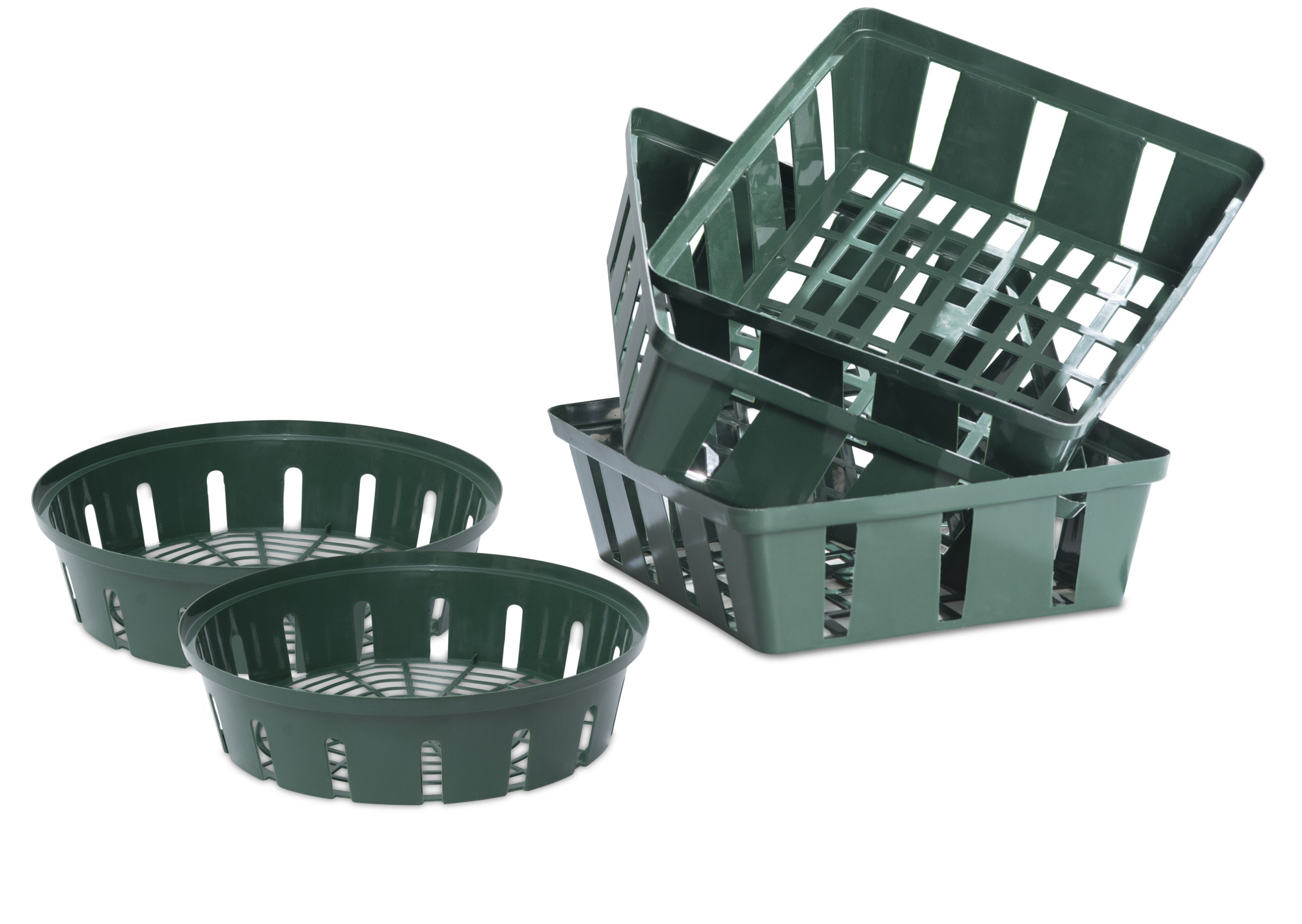 9003117055704 Blumenzwiebel-Schale 21X23,5X7cm eckig 3 Stück