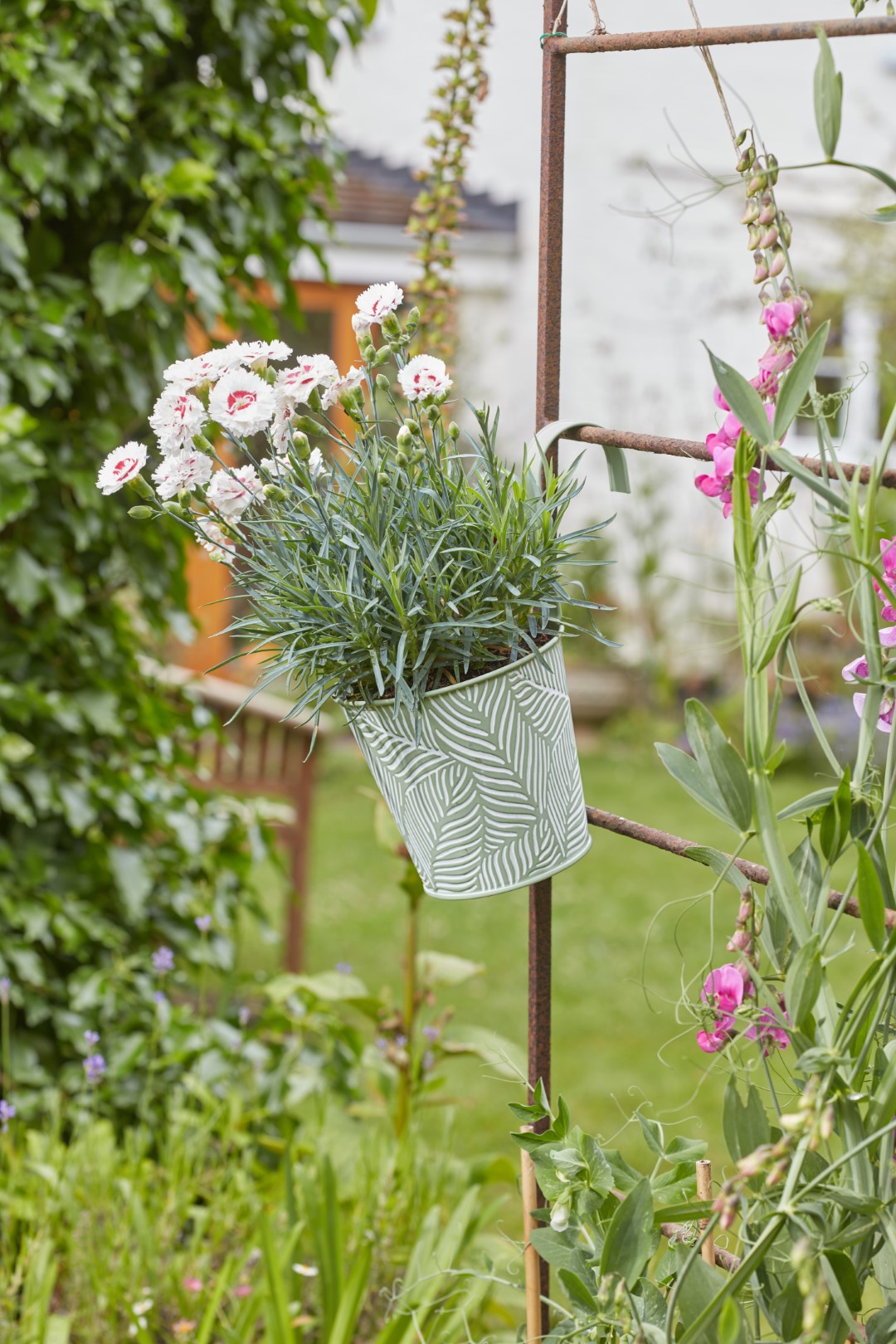 Smart Garden Blumentopf zum Aufhängen, sage