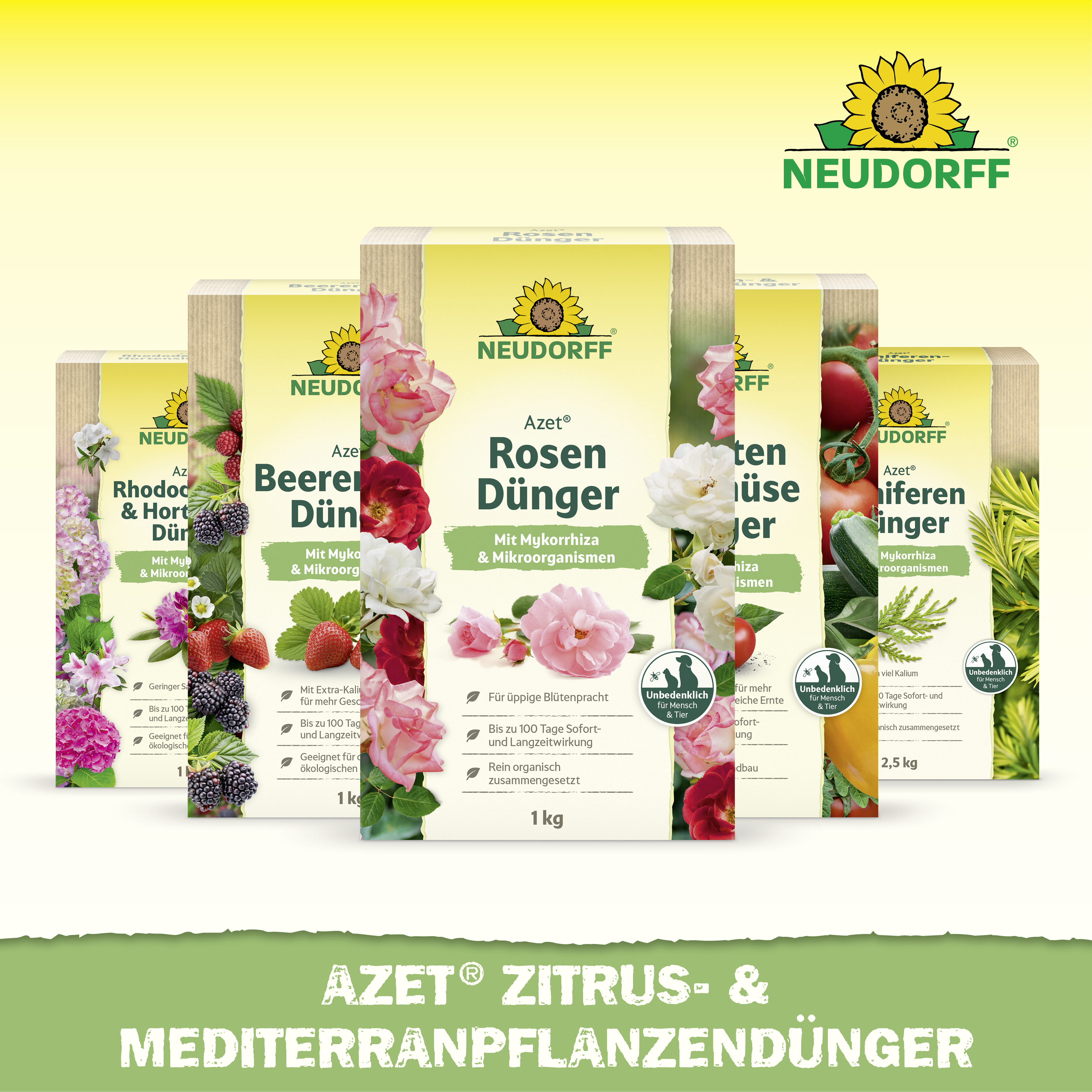 Neudorff Azet Zitrus- & MediterranpflanzenDünger, 750 g