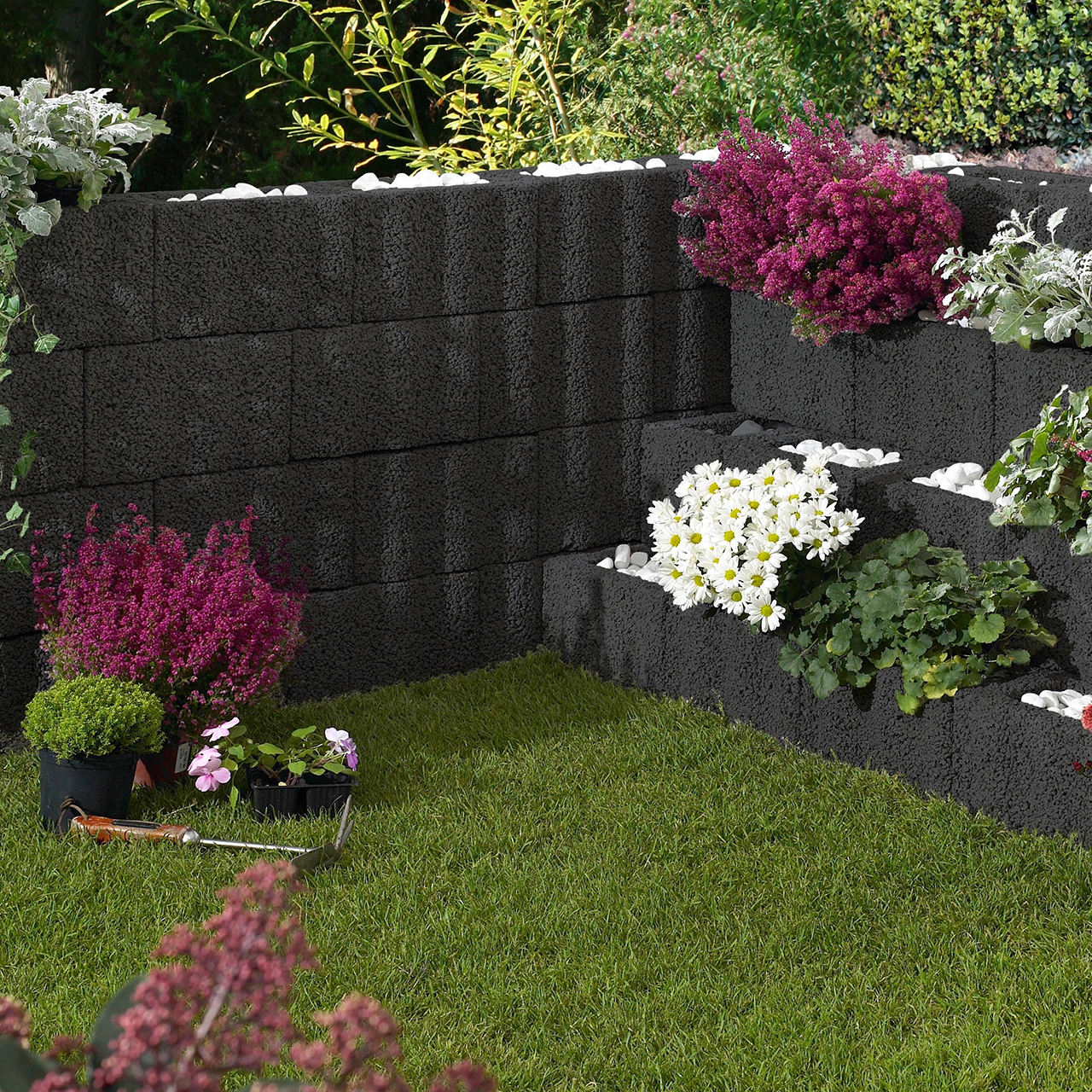 255902_Szene1 Kann Wellenpflanzstein