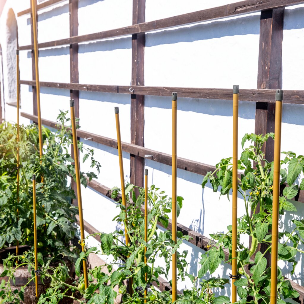 Stahl-Pflanzstab Stahl-Pflanzstab