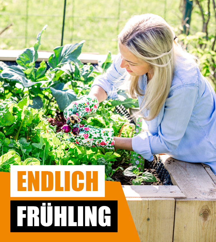 Endlich_Frhling_750x840__(2)