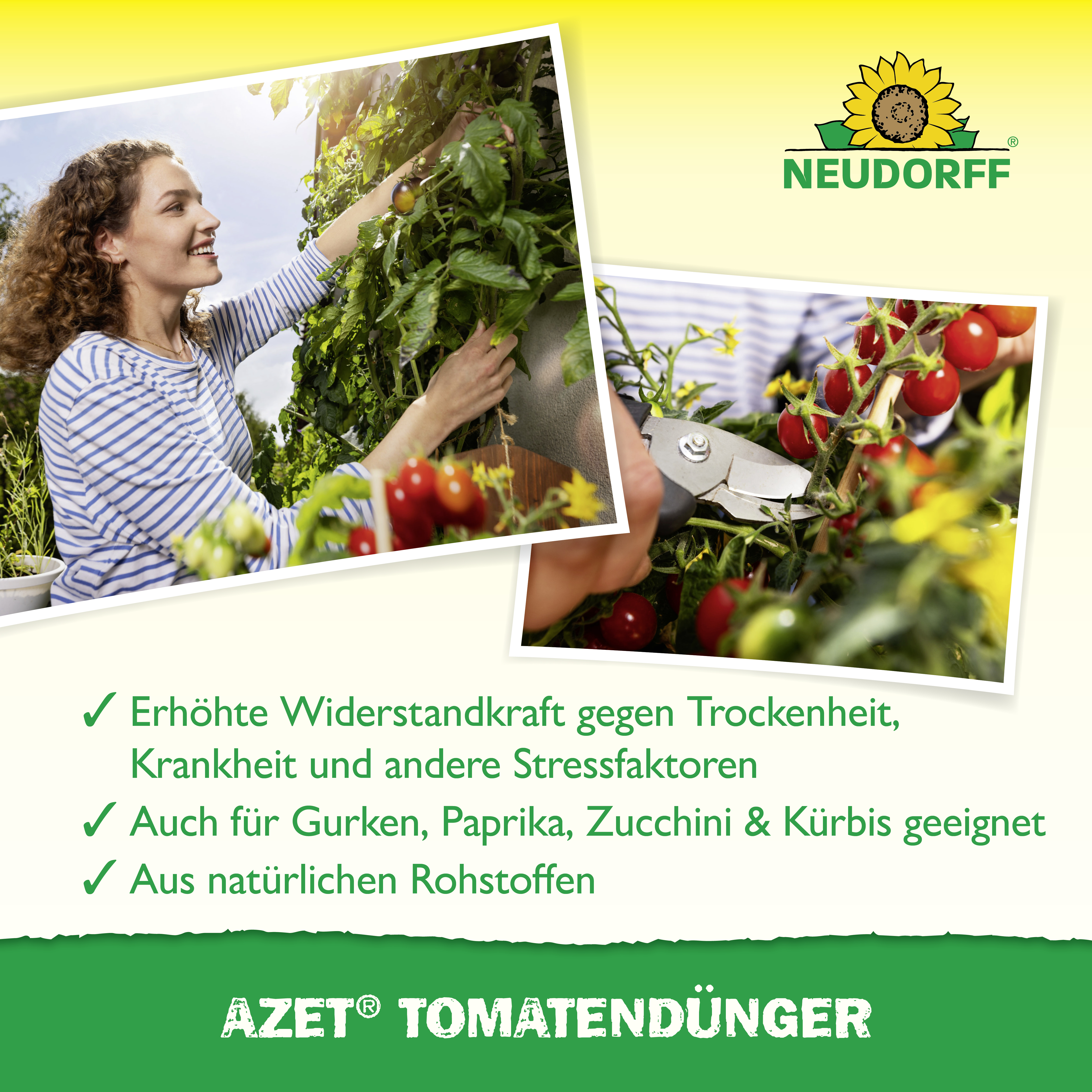 Neudorff Azet TomatenDünger, 1 kg