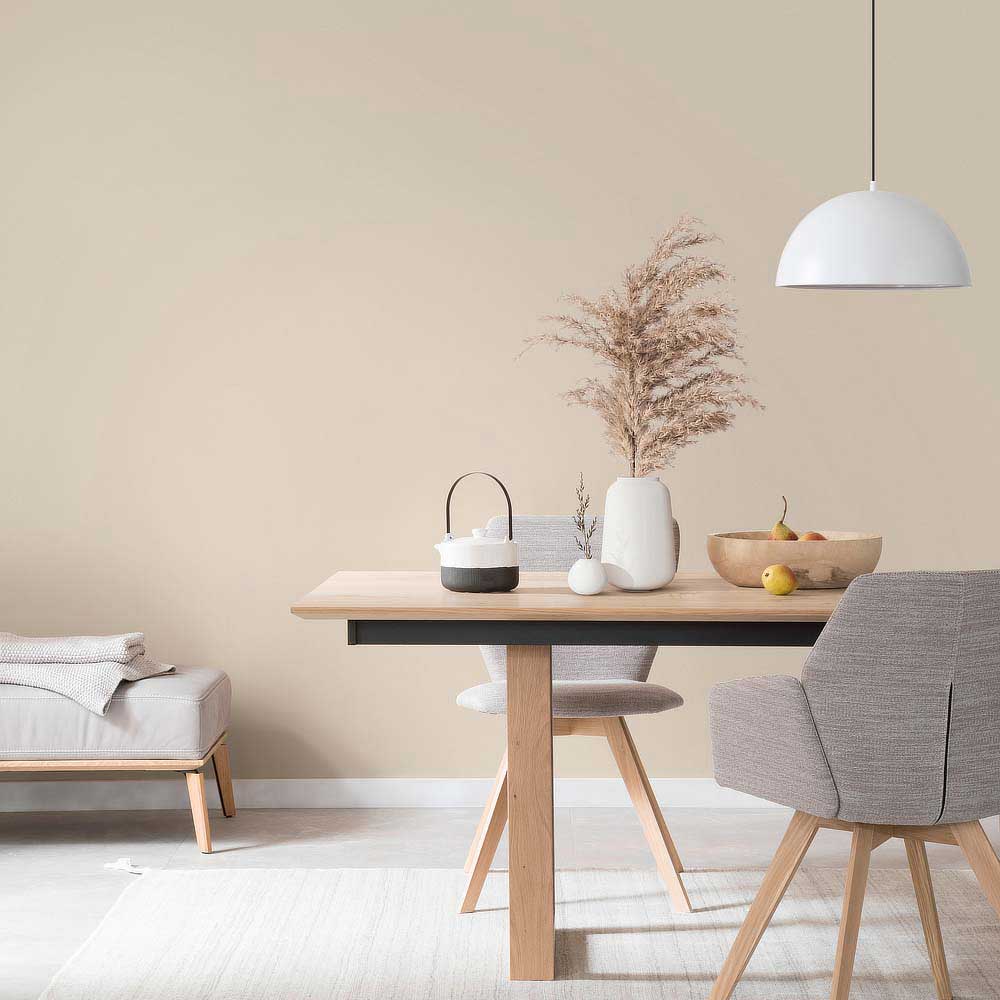 Schöner Wohnen Trend Wandfarbe, matt cosy, 2,5L Schöner Wohnen Trend Wandfarbe, matt cosy, 2,5L