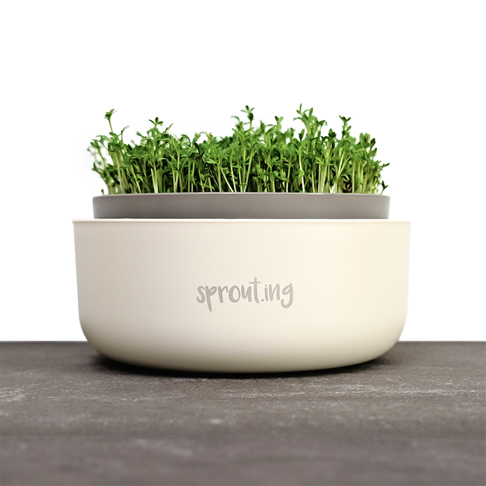 Sprouting Anzuchtschale, Einfach