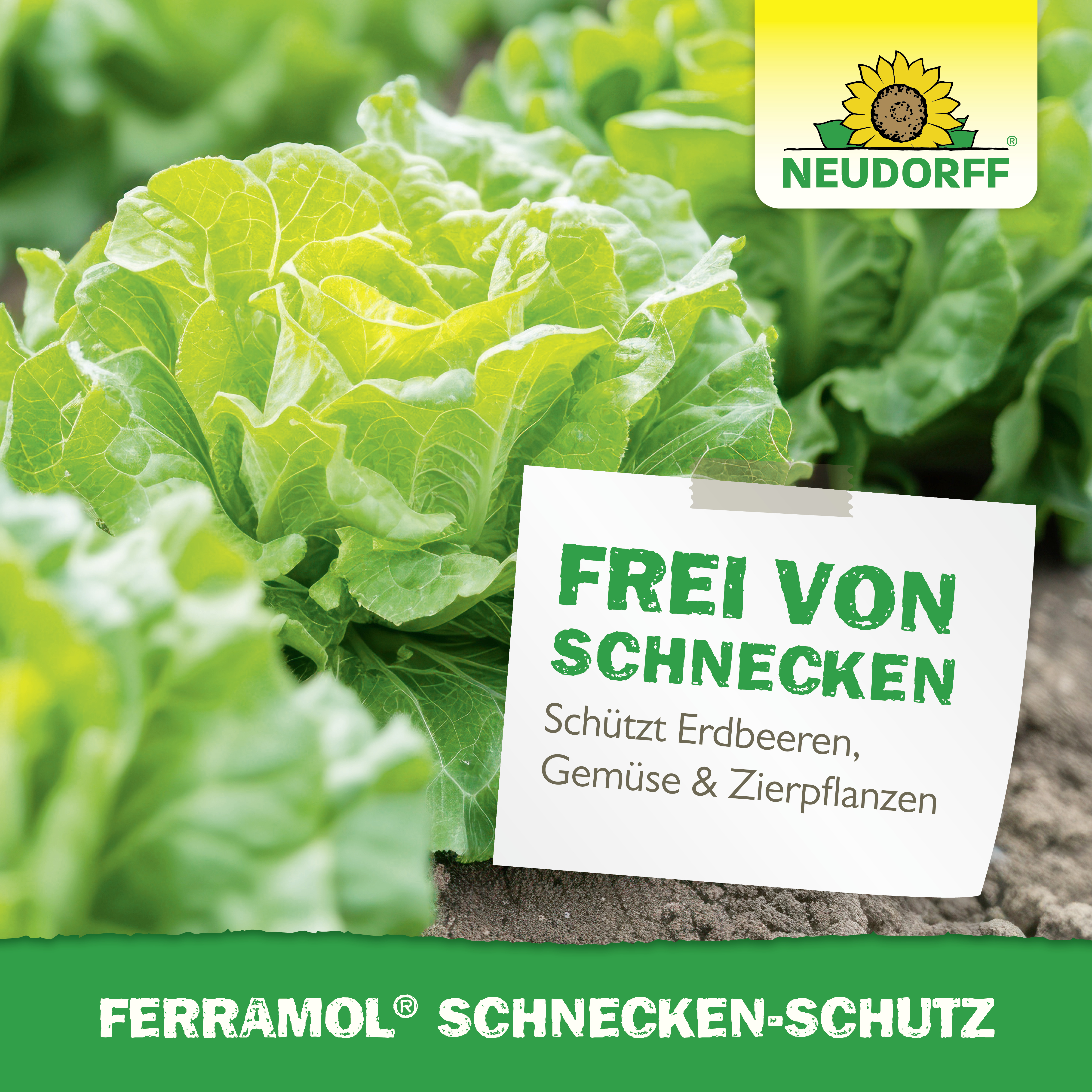 Neudorff Schnecken-Schutz, 2 x 4 m Neudorff Schnecken-Schutz, 2 x 4 m