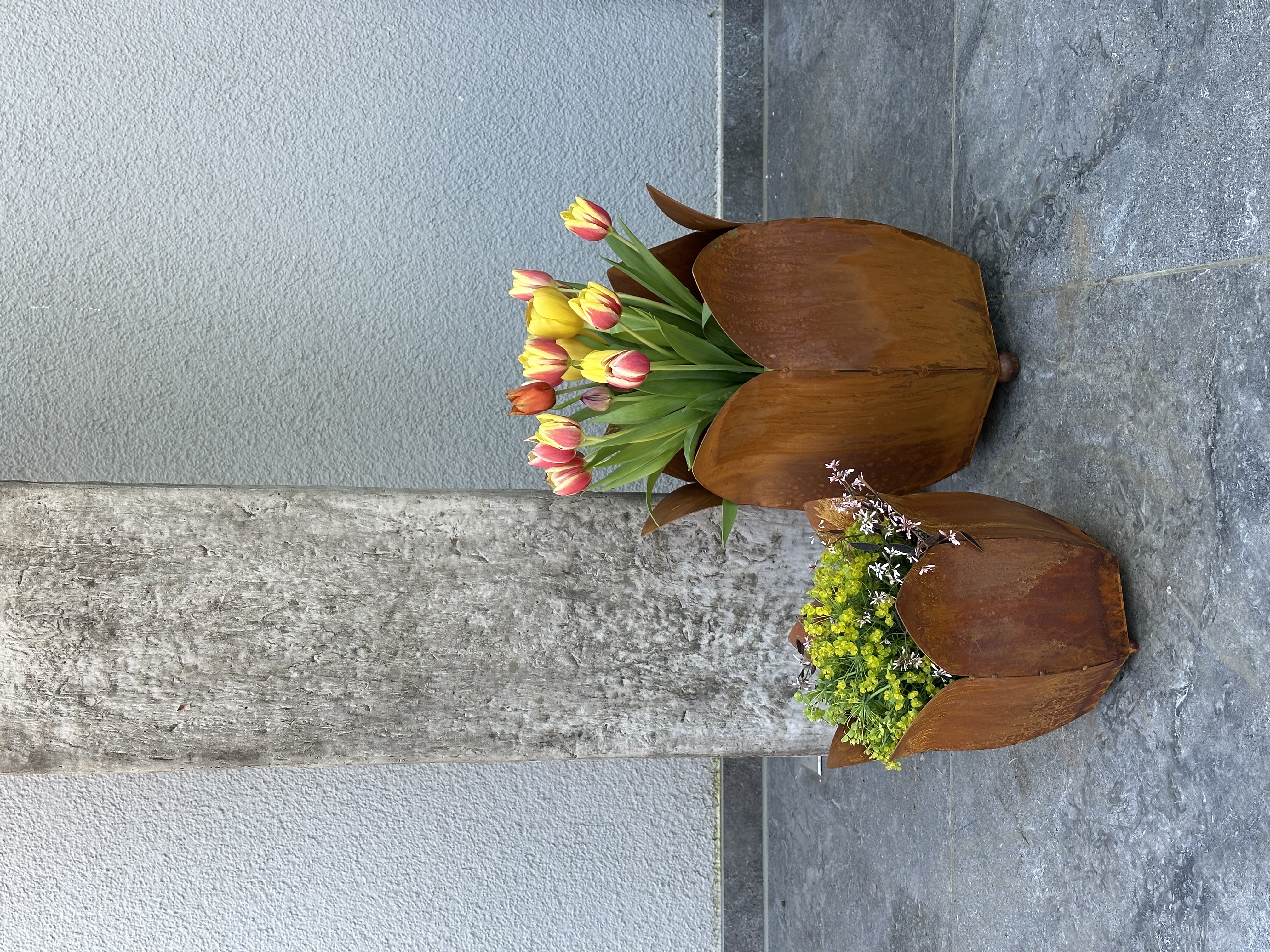 Badeko Pflanztopf -Tulpe- 350