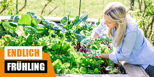 Endlich_Frhling_500x250