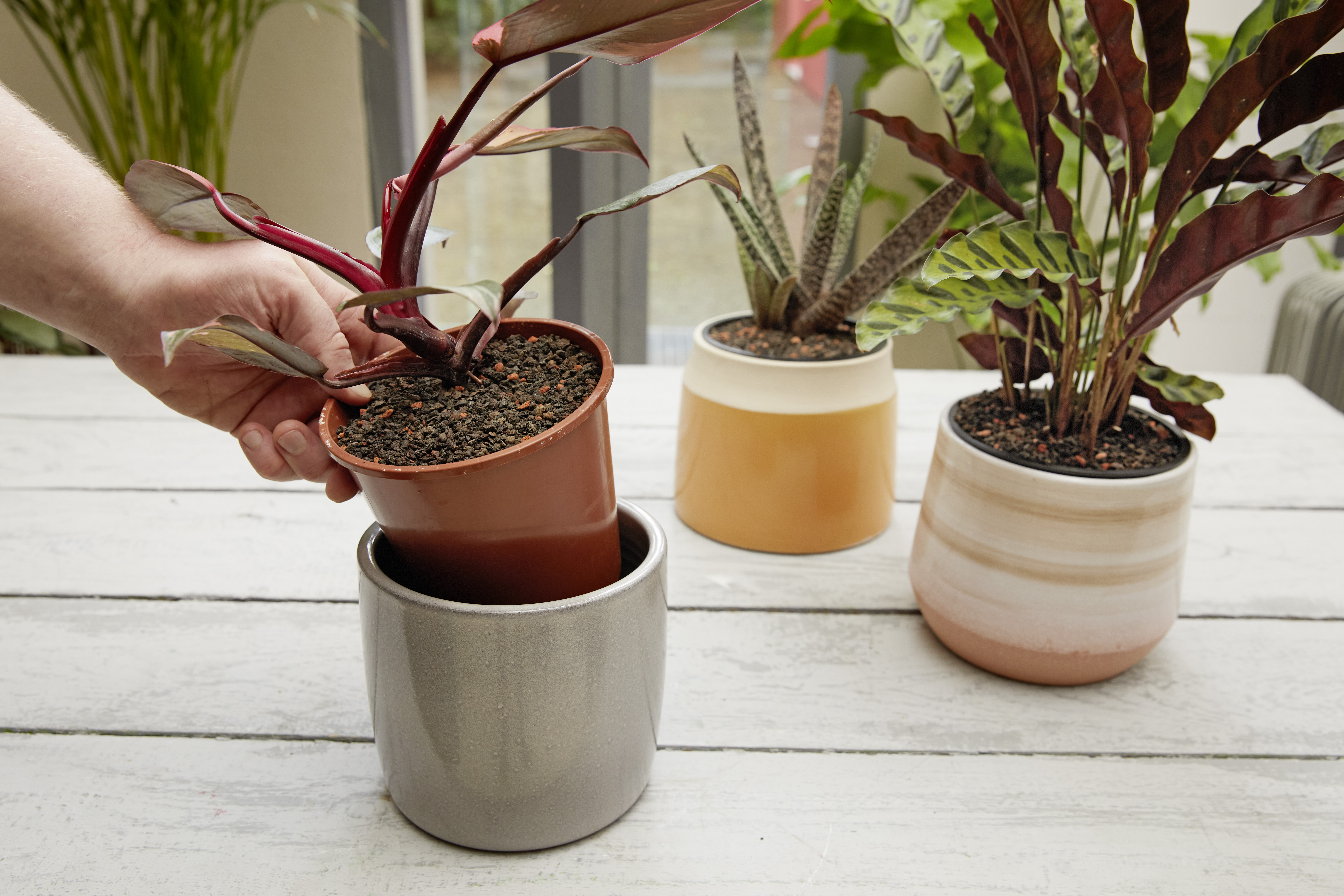 Westland Por Universal-Granulat-Mix, 6L