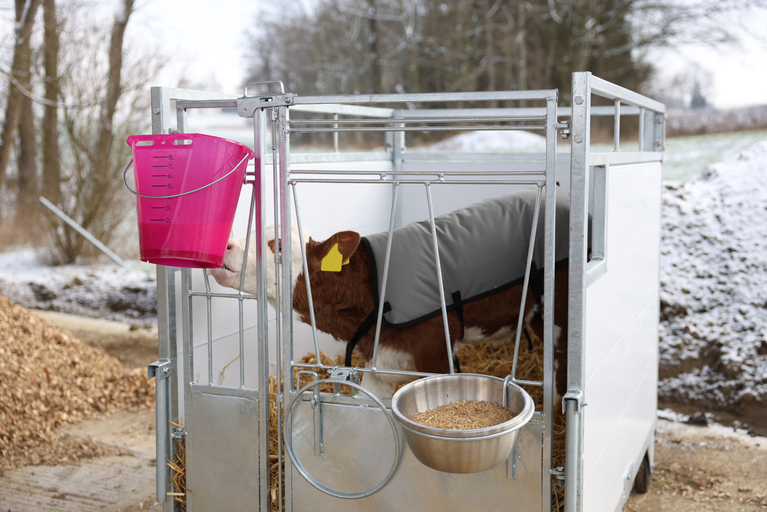 Kerbl Tränkeeimer rosa transparent mit Skala, ohne Zubehör