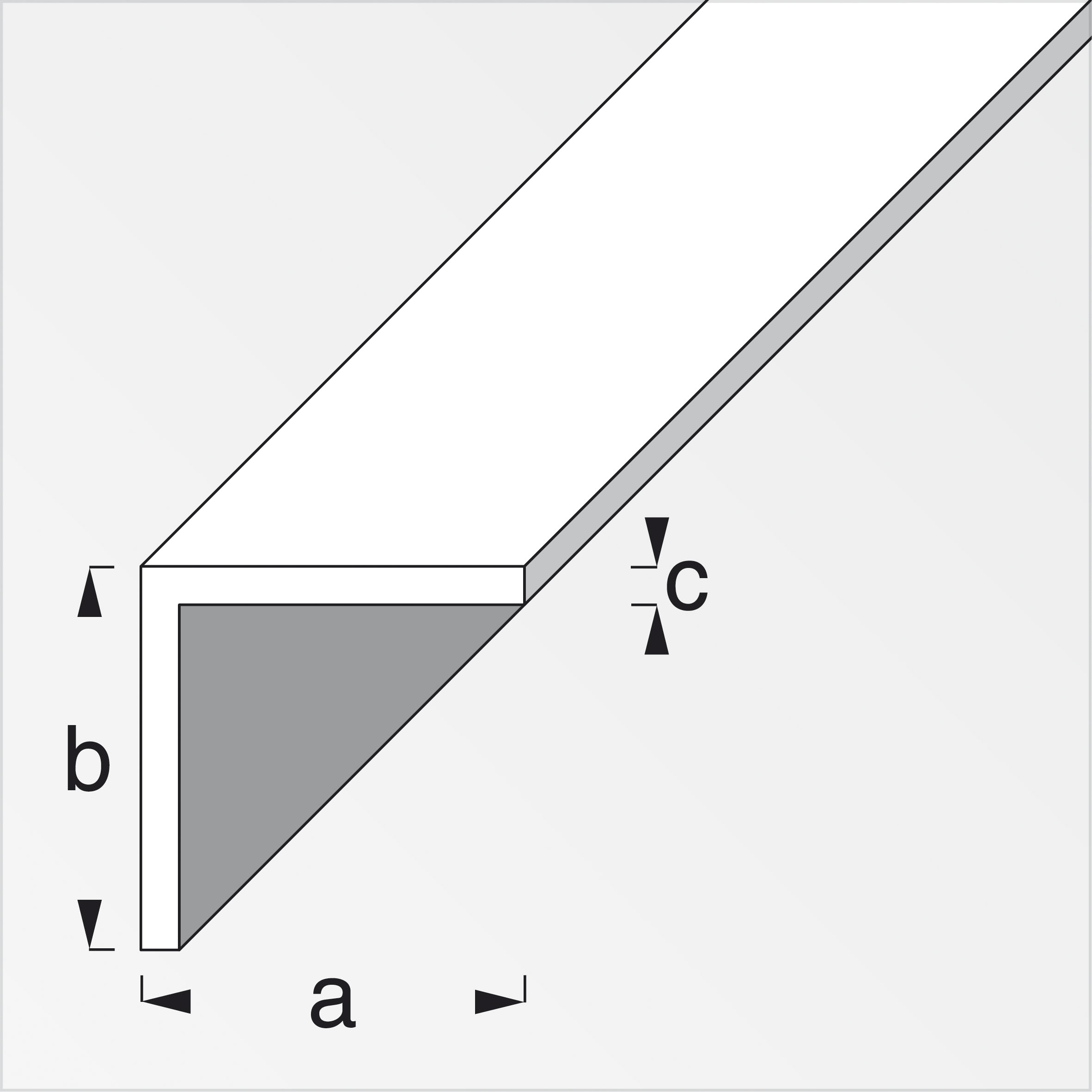 Alfer Winkel, gleichschenklig, 1 m x 15 x 15 x 1 mm