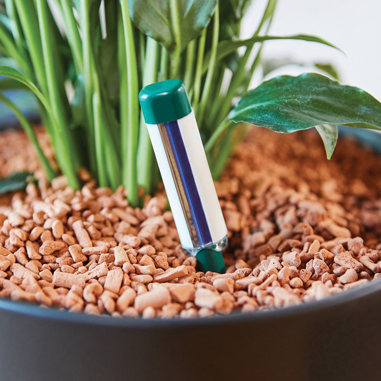 156945-7-pt07 GIEßANZEIGER GROß 2ST.