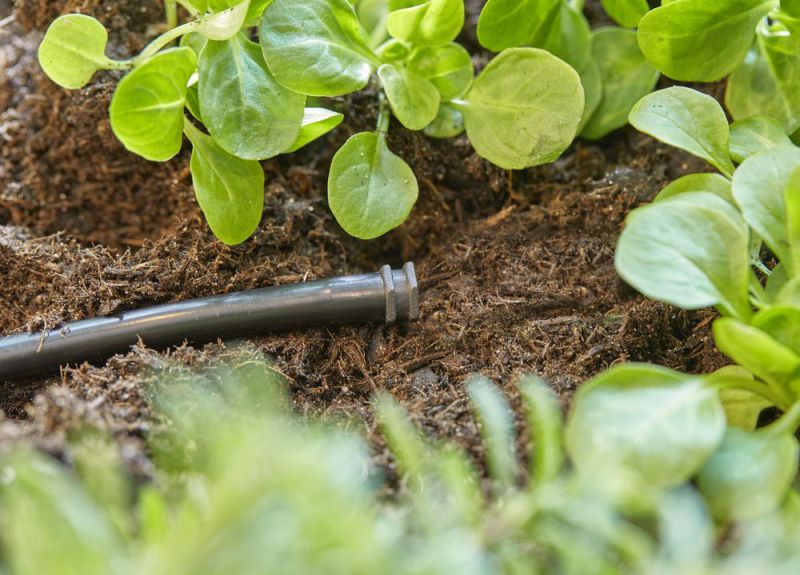 Gardena Micro-Drip-System Verschlussstopfen 4,6 mm (3/16")