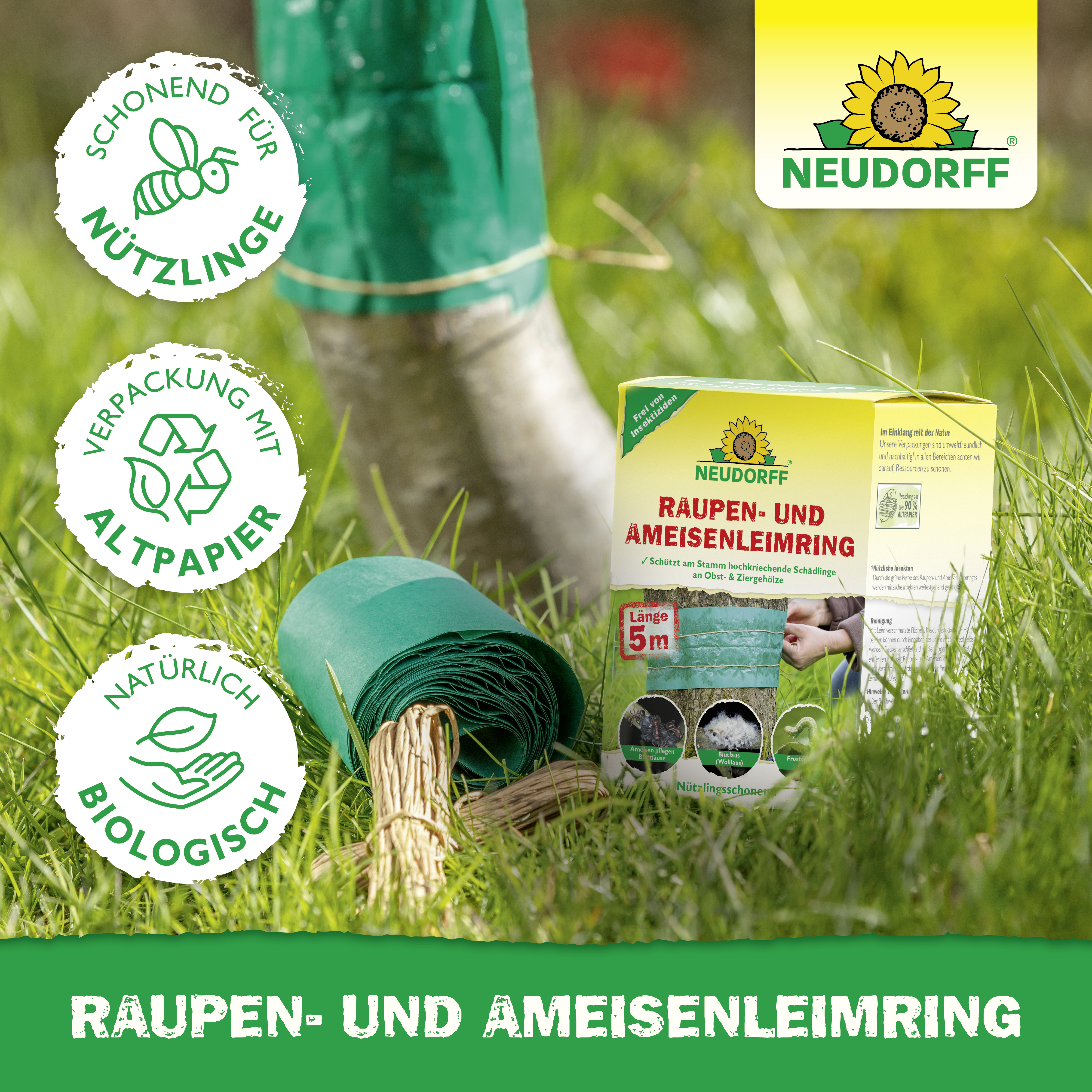 Neudorff Raupen-und AmeisenLeimring, 5 m