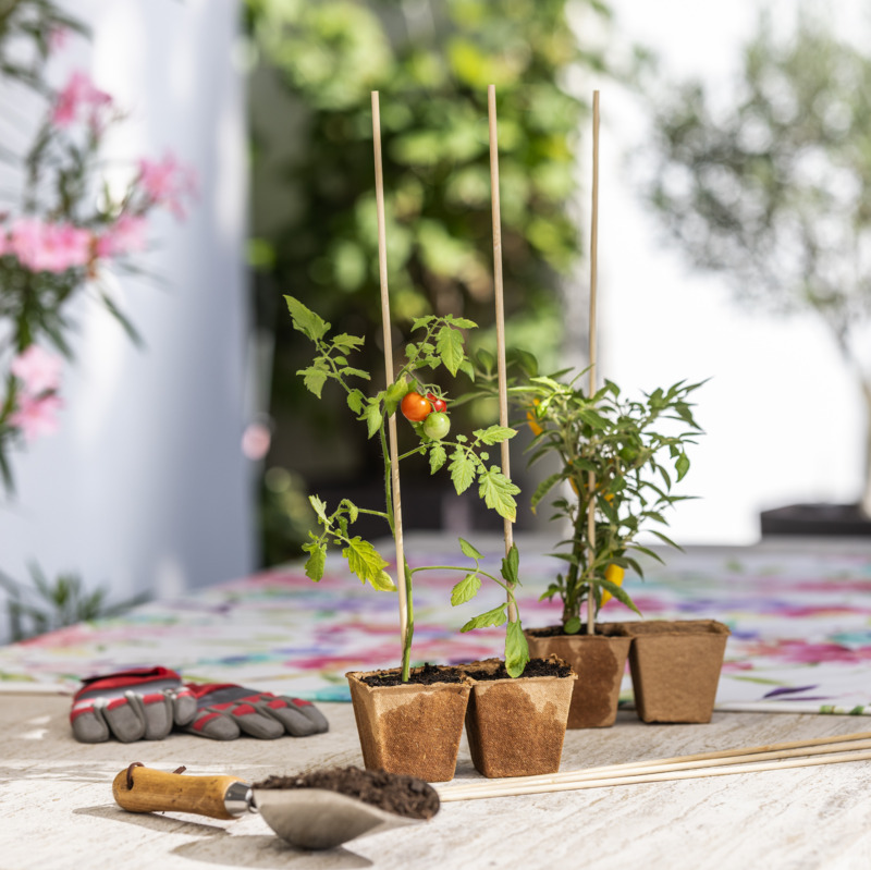 Windhager Tonkin-& Splittstab, natur, 40 cm Windhager Tonkin-& Splittstab, natur, 40 cm