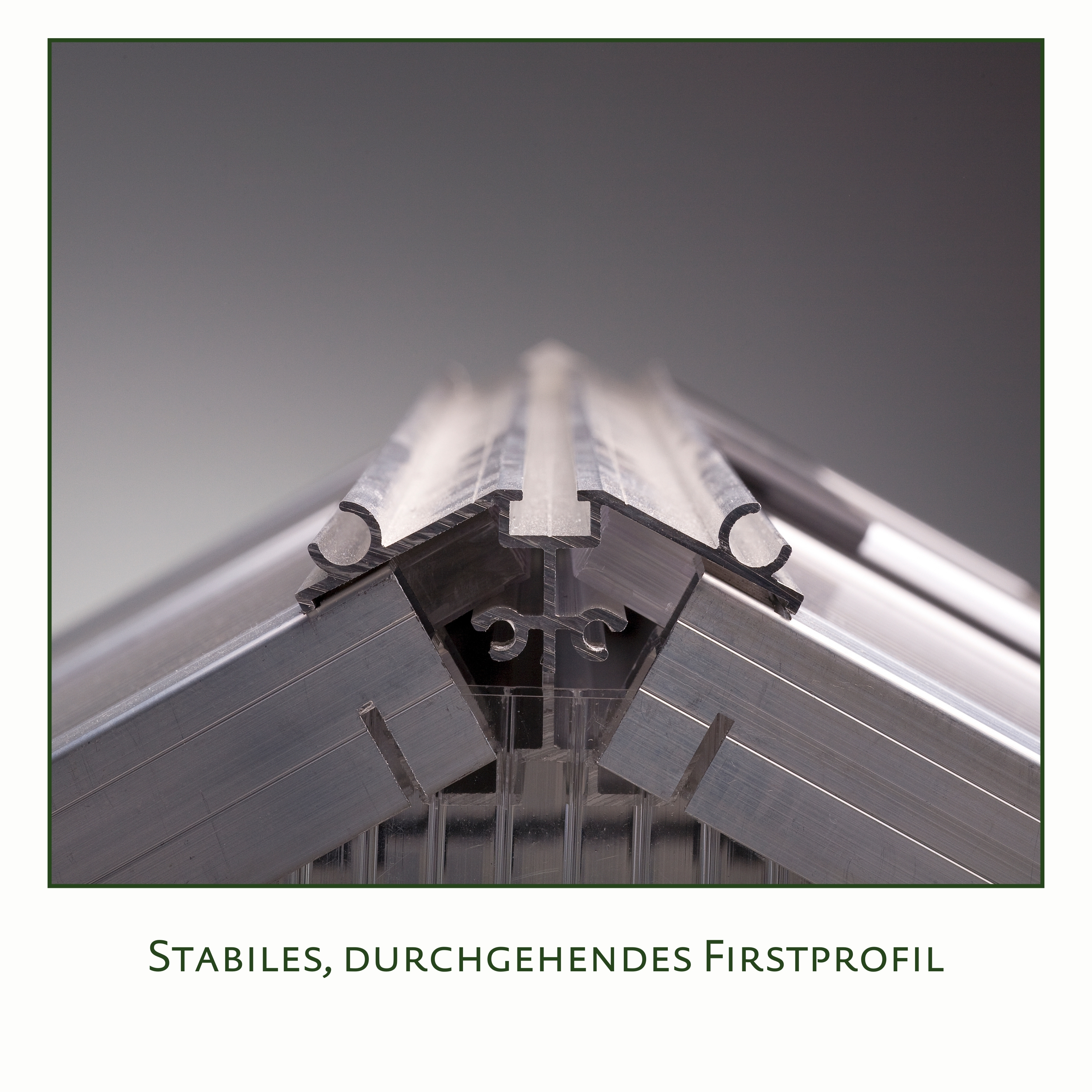 KGT Gewächshaus Enzian IV, pressblank
