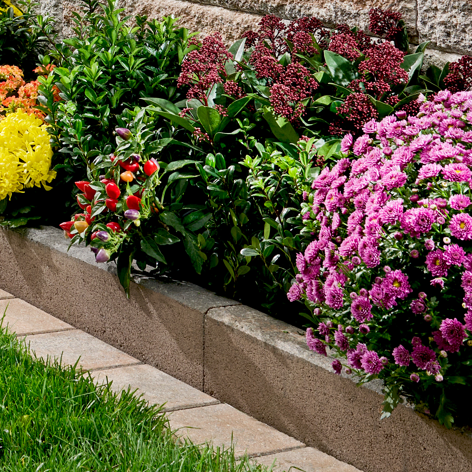 Kann Vero-Randstein 6 x 25 x 100 cm, jura-nuanciert