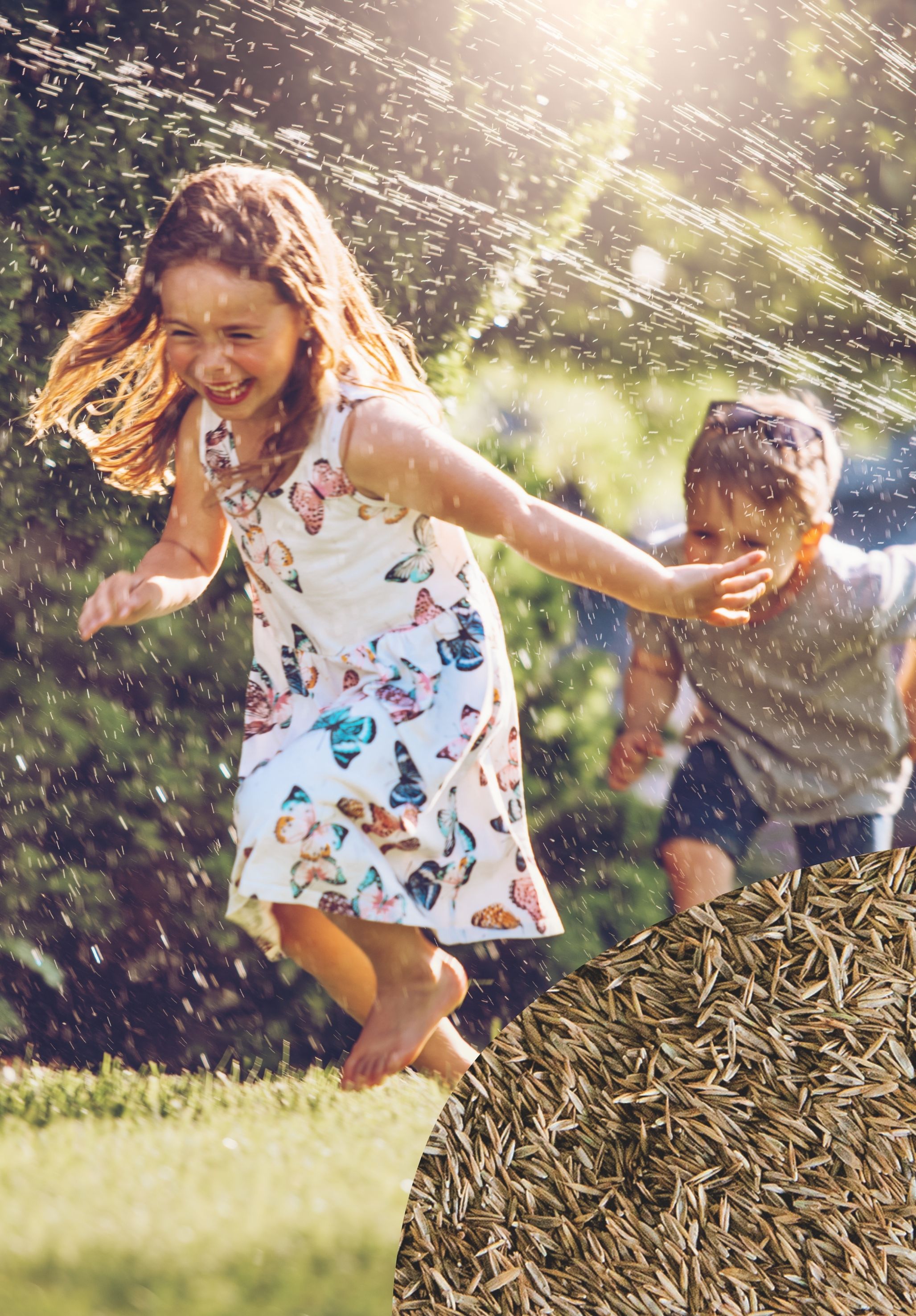 Aktionsrasen Sport- und Spielrasen, 10 kg