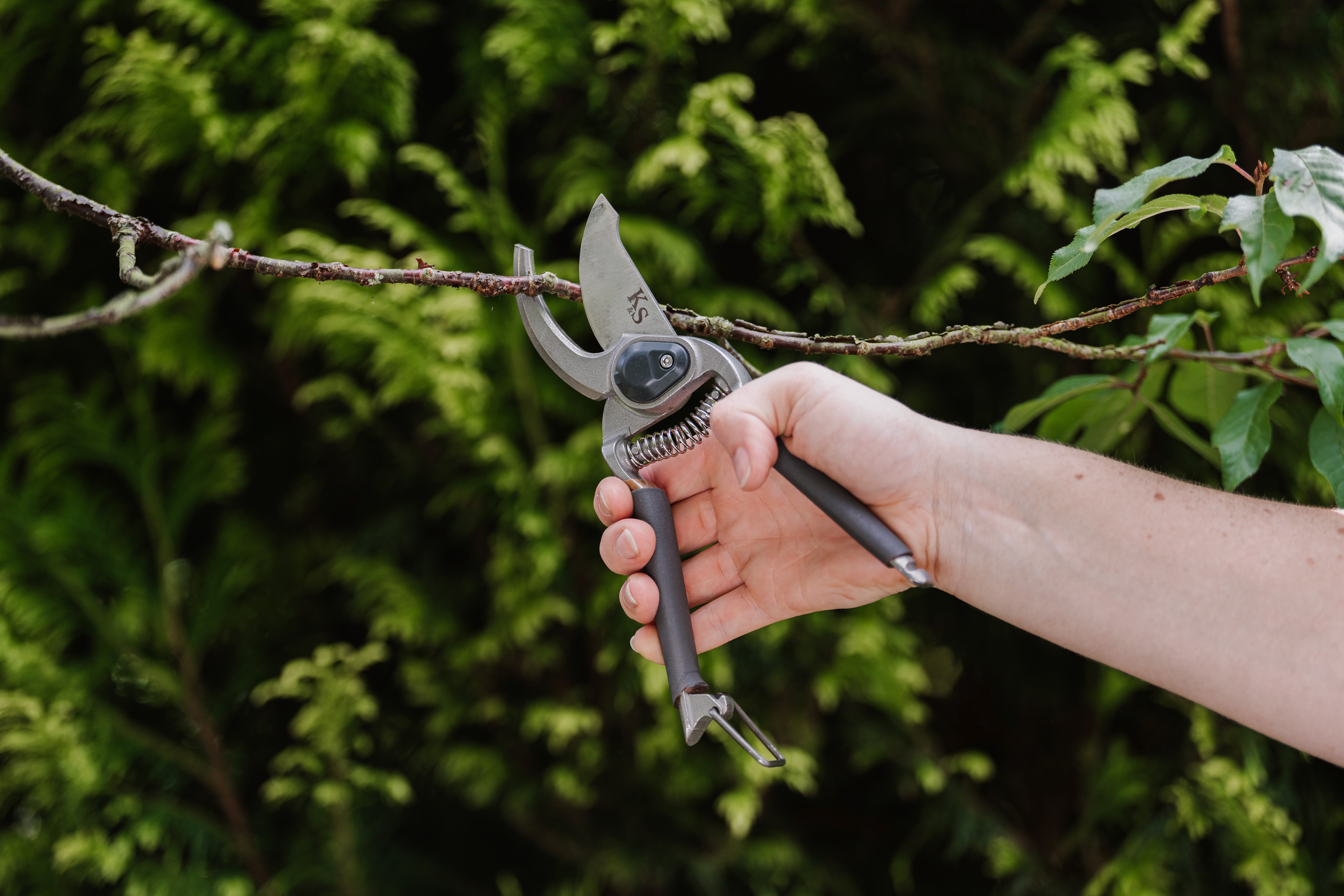 Kent & Stowe Traditionelle Gartenschere Bypass