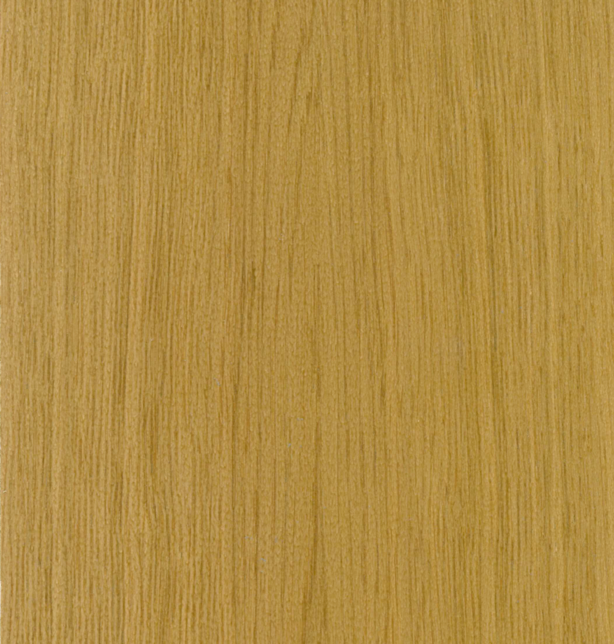 Neuhofer Furnier Sockelleiste Kubisch, Eiche geölt, 16x58 mm, 250 cm Neuhofer Furnier Sockelleiste Kubisch, Eiche geölt, 16x58 mm, 250 cm
