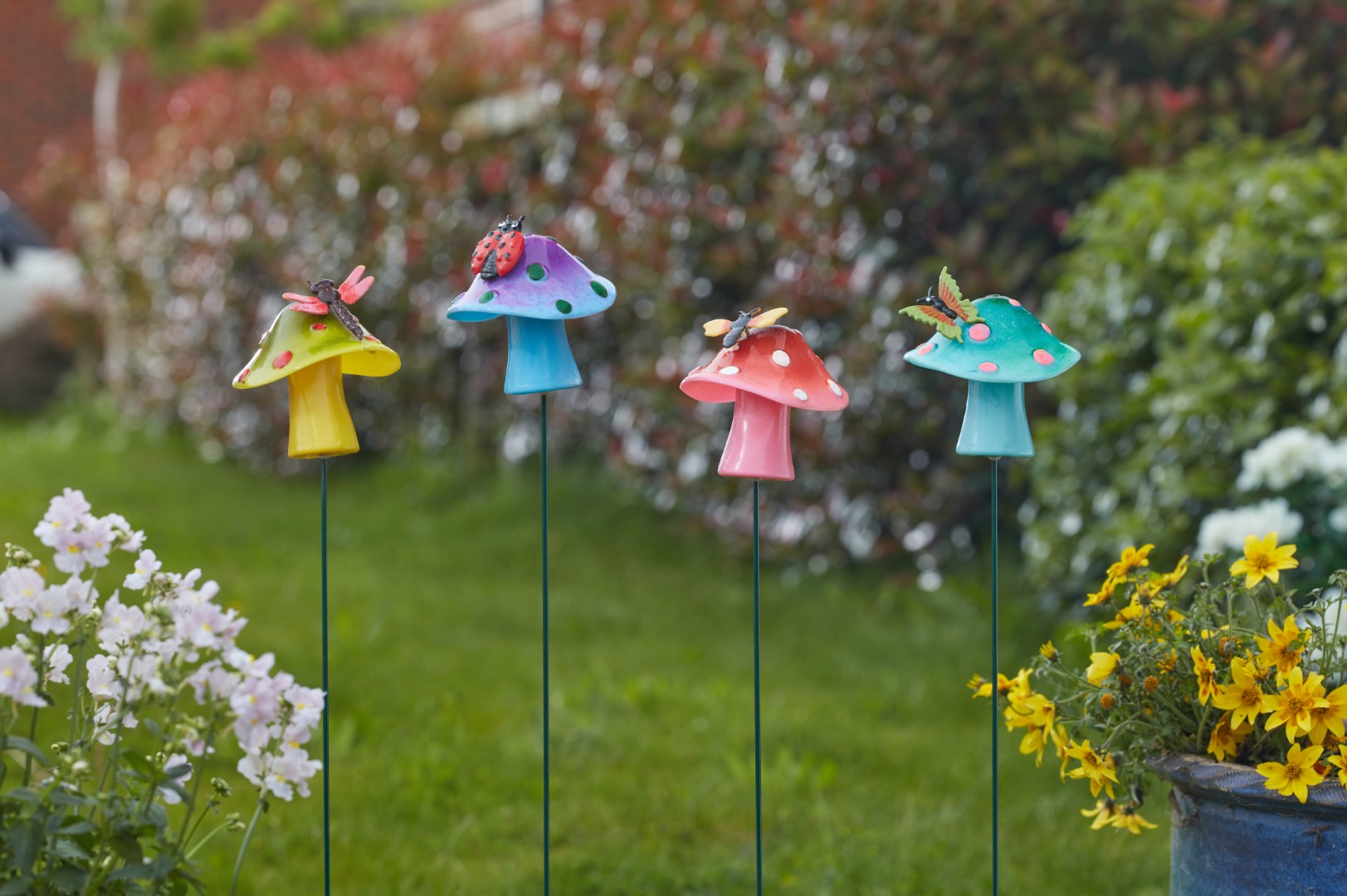 Smart Garden FabFunghi