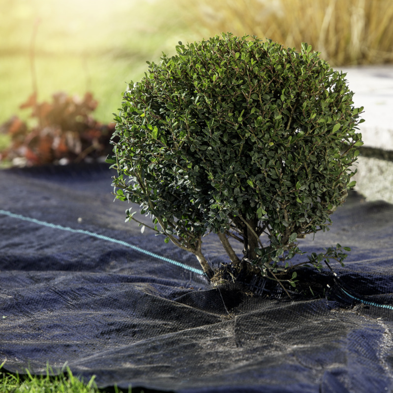 Windhager Unterboden-Gewebe 2m 100g/m² Windhager Unterboden-Gewebe 2m 100g/m²