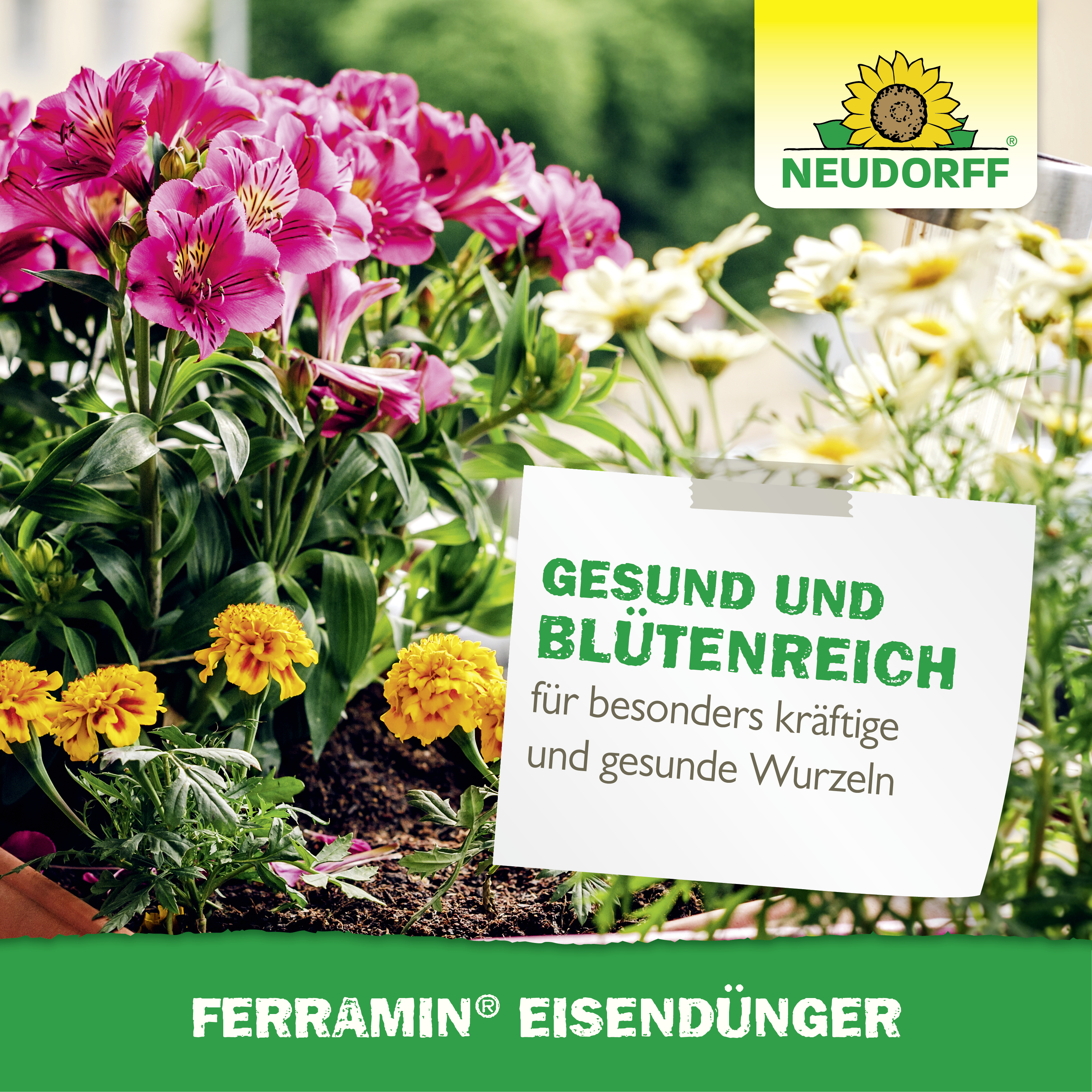 Neudorff Ferramin Eisendünger