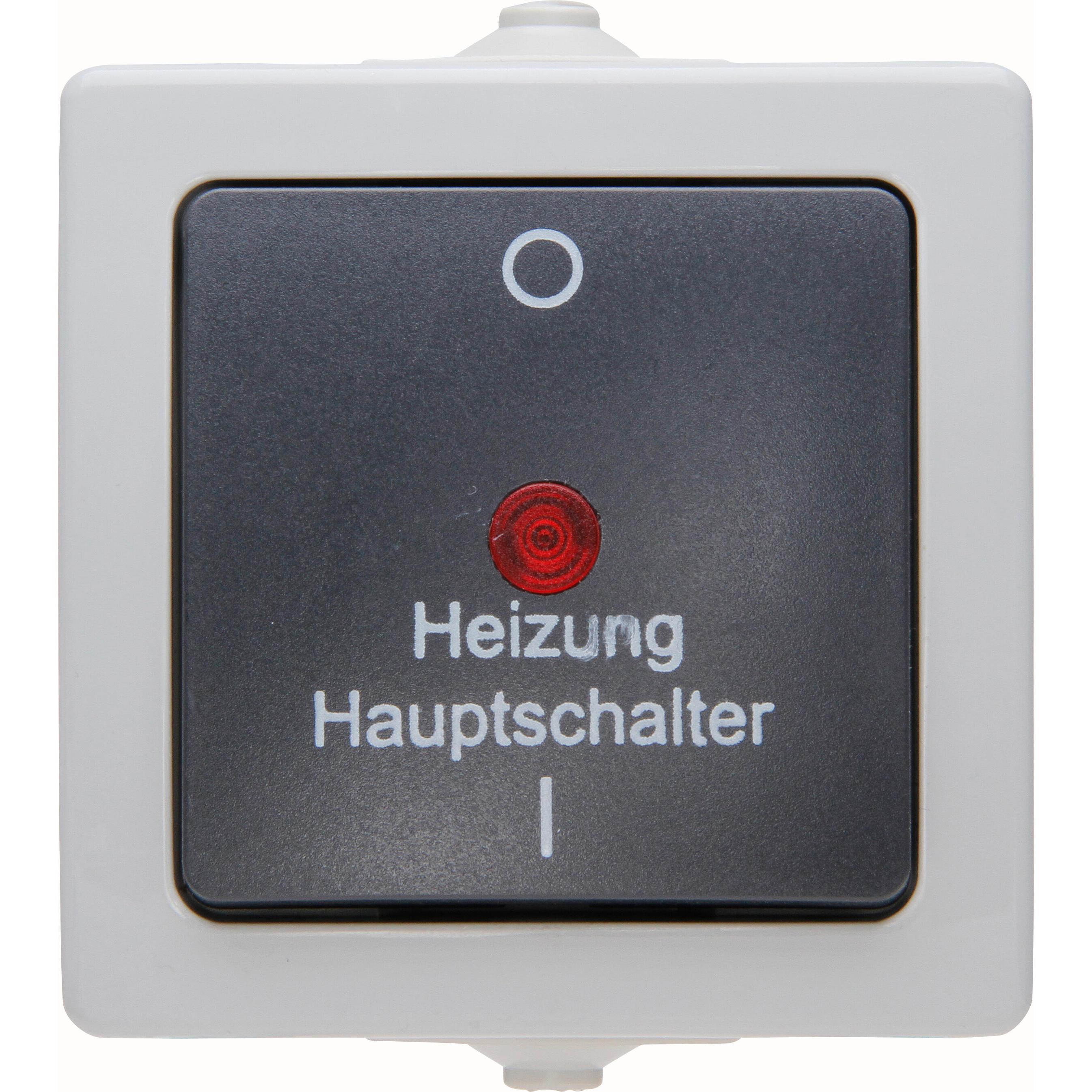 Kopp NAUTIC Heizungshauptschalter, grau Kopp NAUTIC Heizungshauptschalter, grau