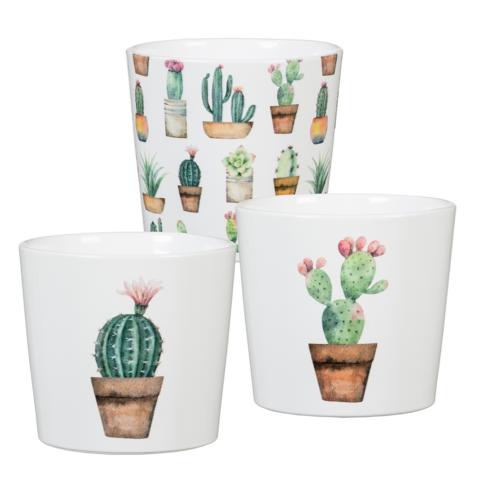 302285 KAKTEENÜBERTOPF CACTUS GARDEN 870/09 SCH