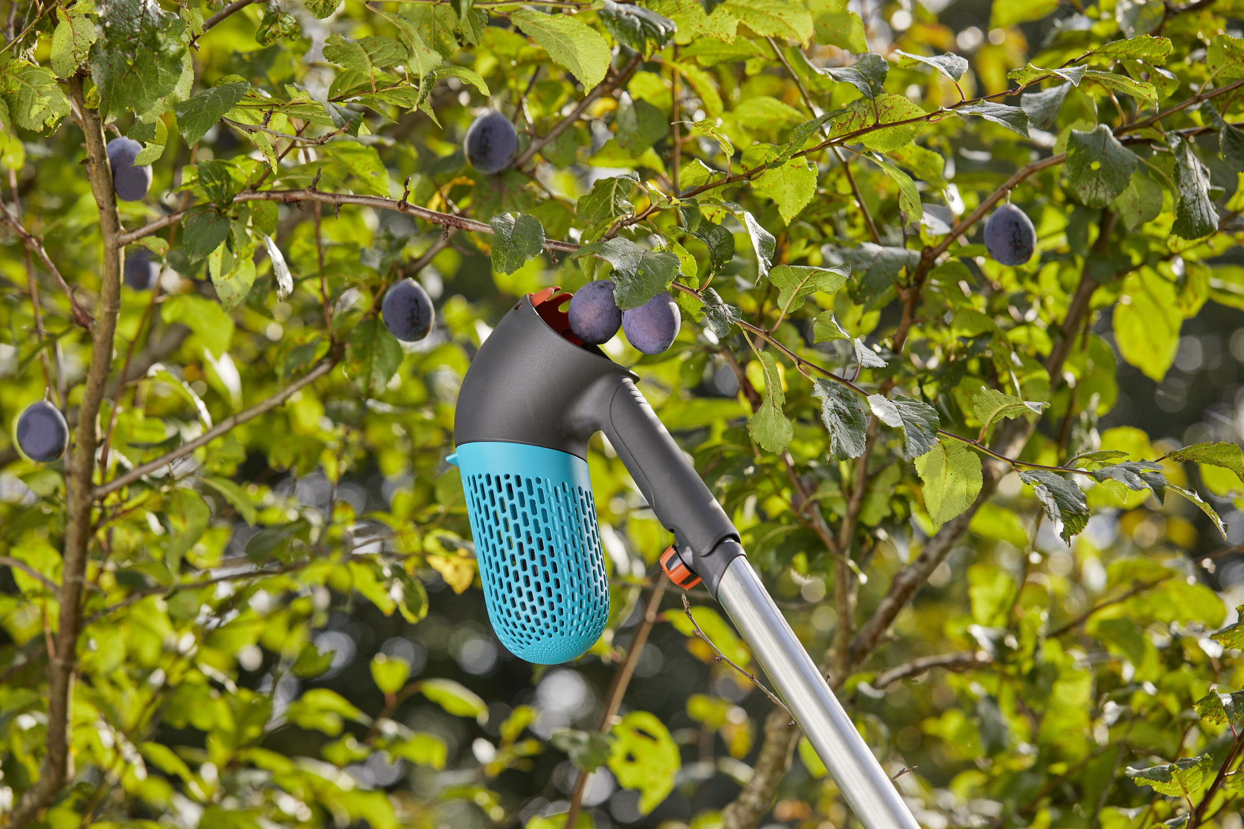 Gardena combisystem-Beerensammler