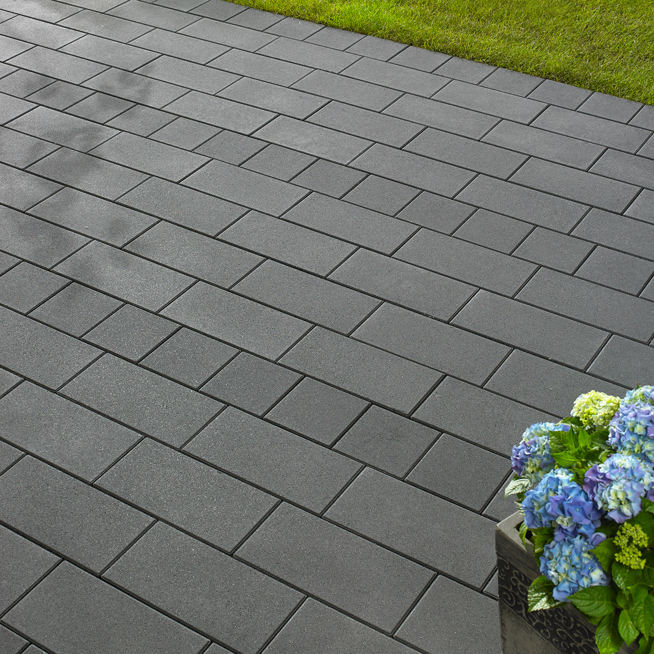 734552_Szene1 Kann Pflaster VeroMaxx