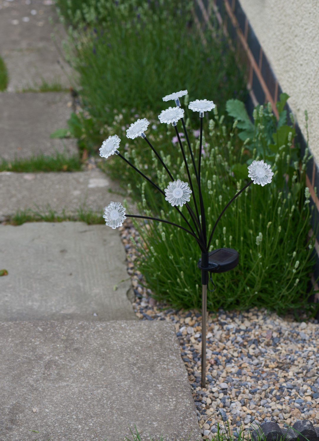 Smart Garden 8x Flora Lights, warmweiß