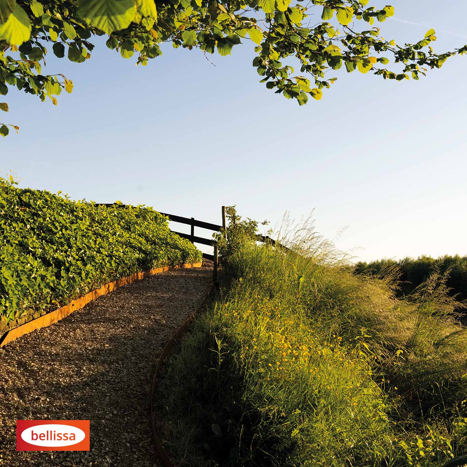 Bellissa Rasenkante Corten 20 Bellissa Rasenkante Corten 20